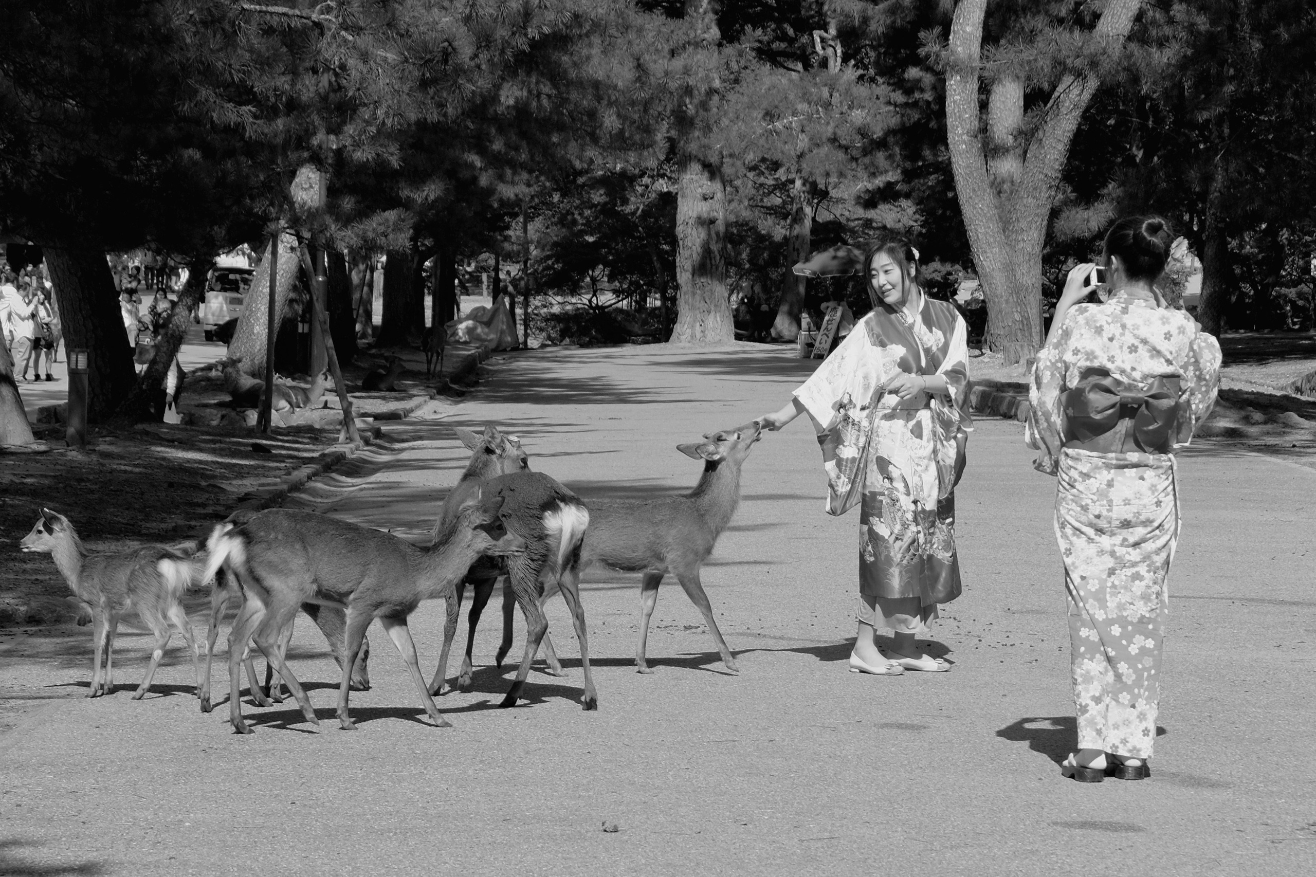 ЯПОНИЯ. Семейный и travel-фотограф из Израиля