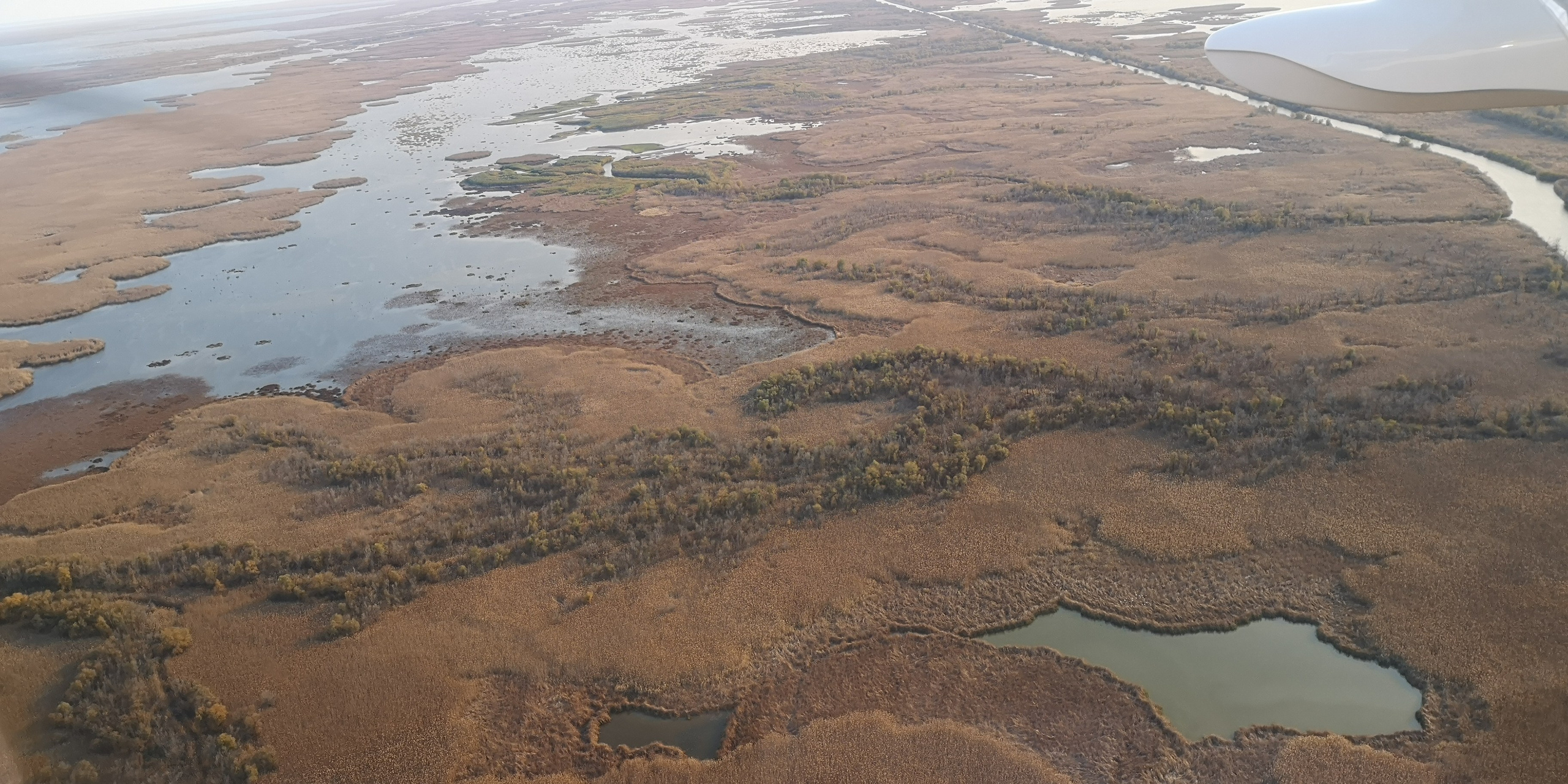Каспийское море (наука на Ла-8) (2021 г.). Фотоальбом показывающий увлекательный мир авиации и мир медведей Андрея Иванова