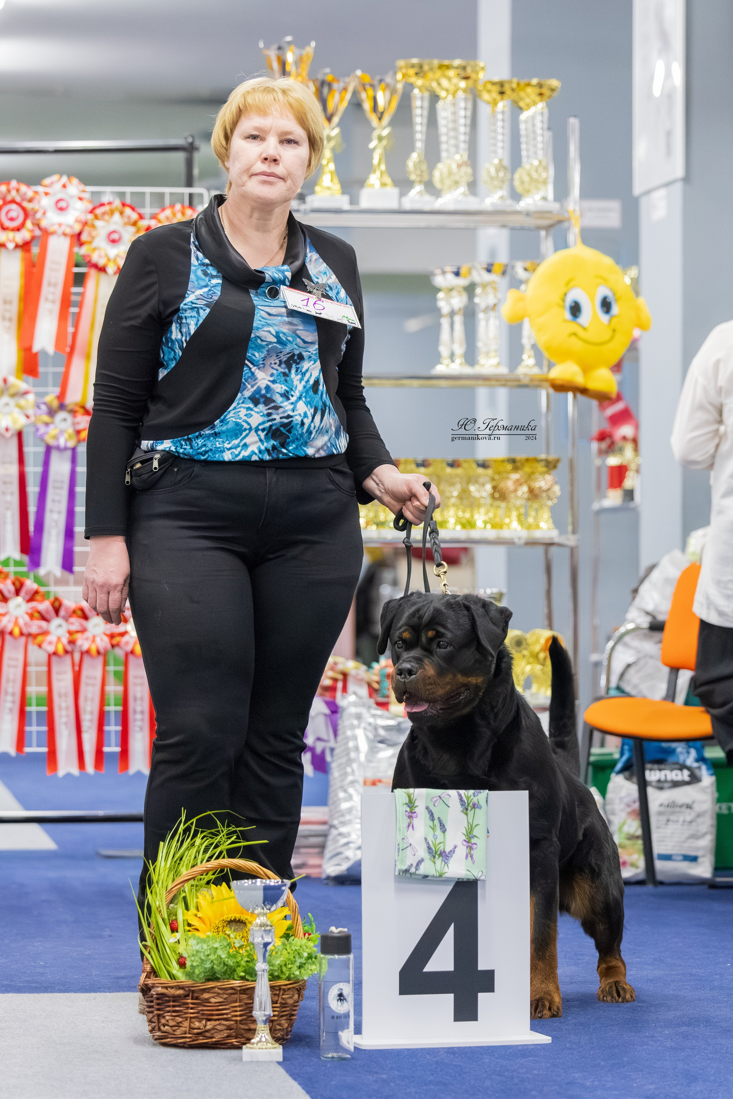 Сфера 08 и 10.03.2024 2хмоно ротвейлеров+2хмоно сао. Фотограф-анималист Юлия Германика