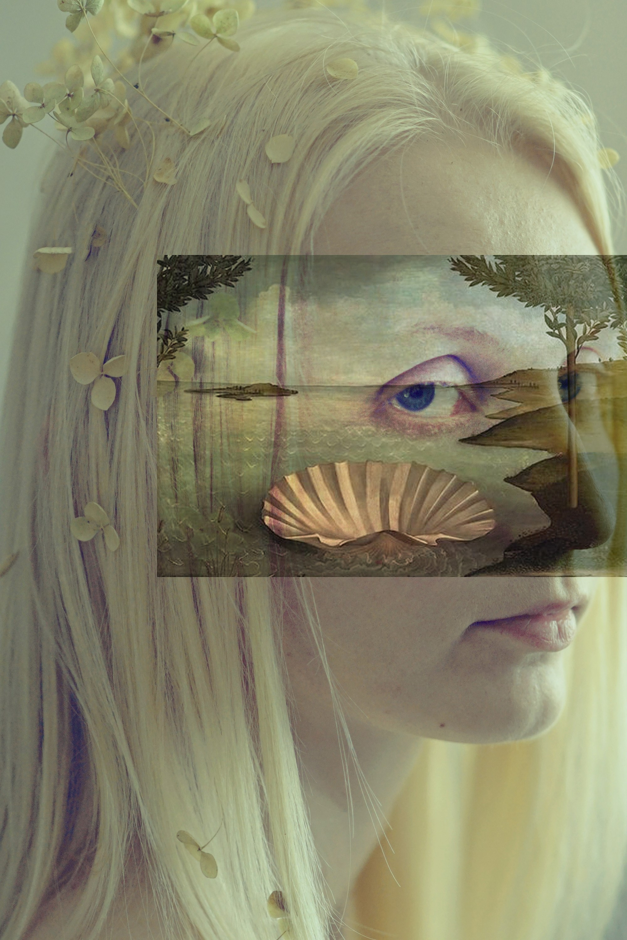 Арт-фотографии. Арт-фотограф Виктория Забродина