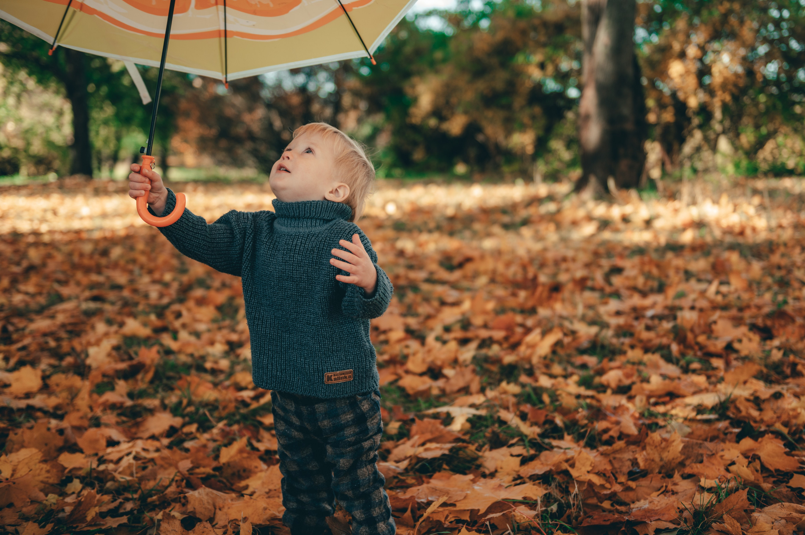 Желто-красное настроение. Свадебный и семейный фотограф София Невская