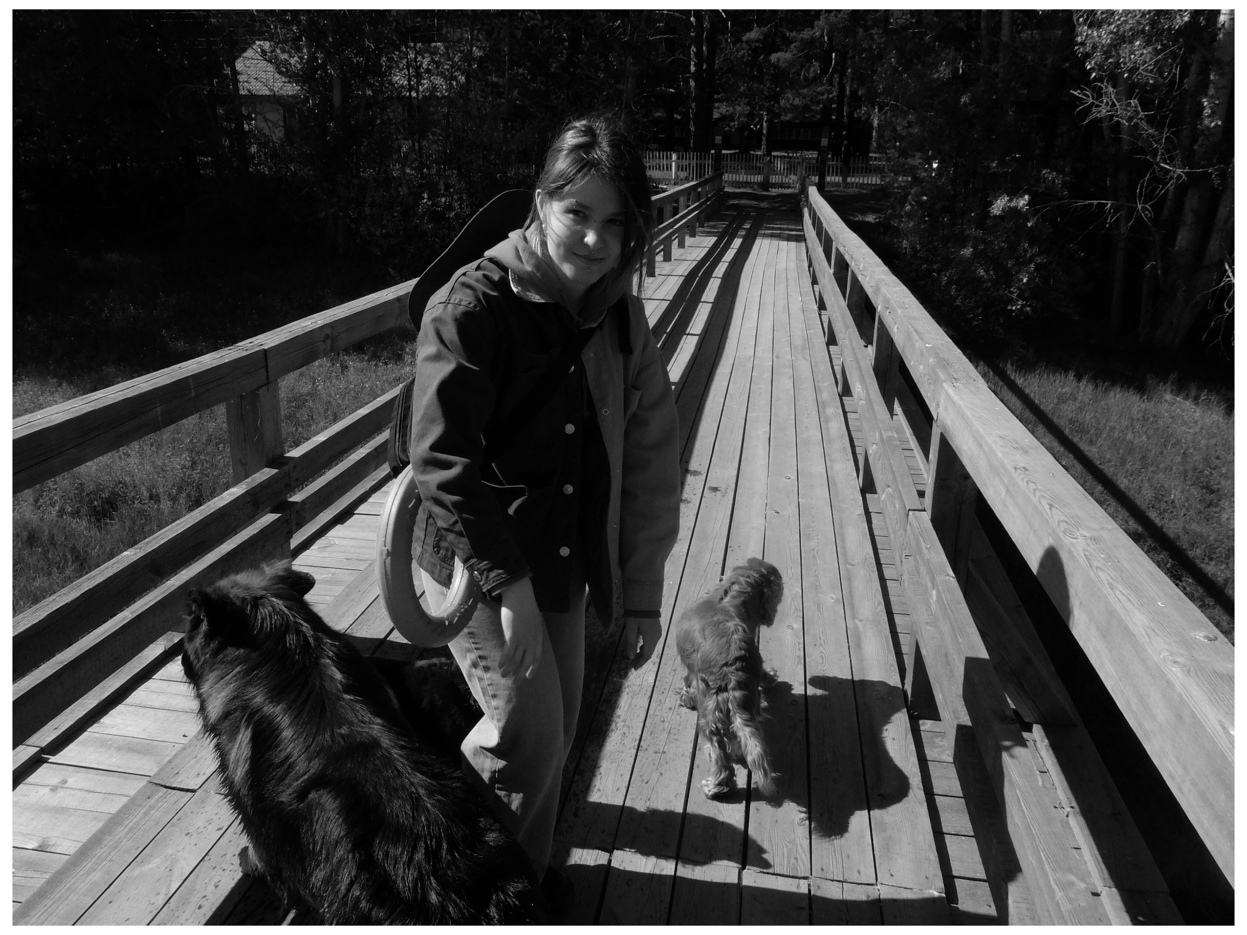 Промежуточные моменты (2022)