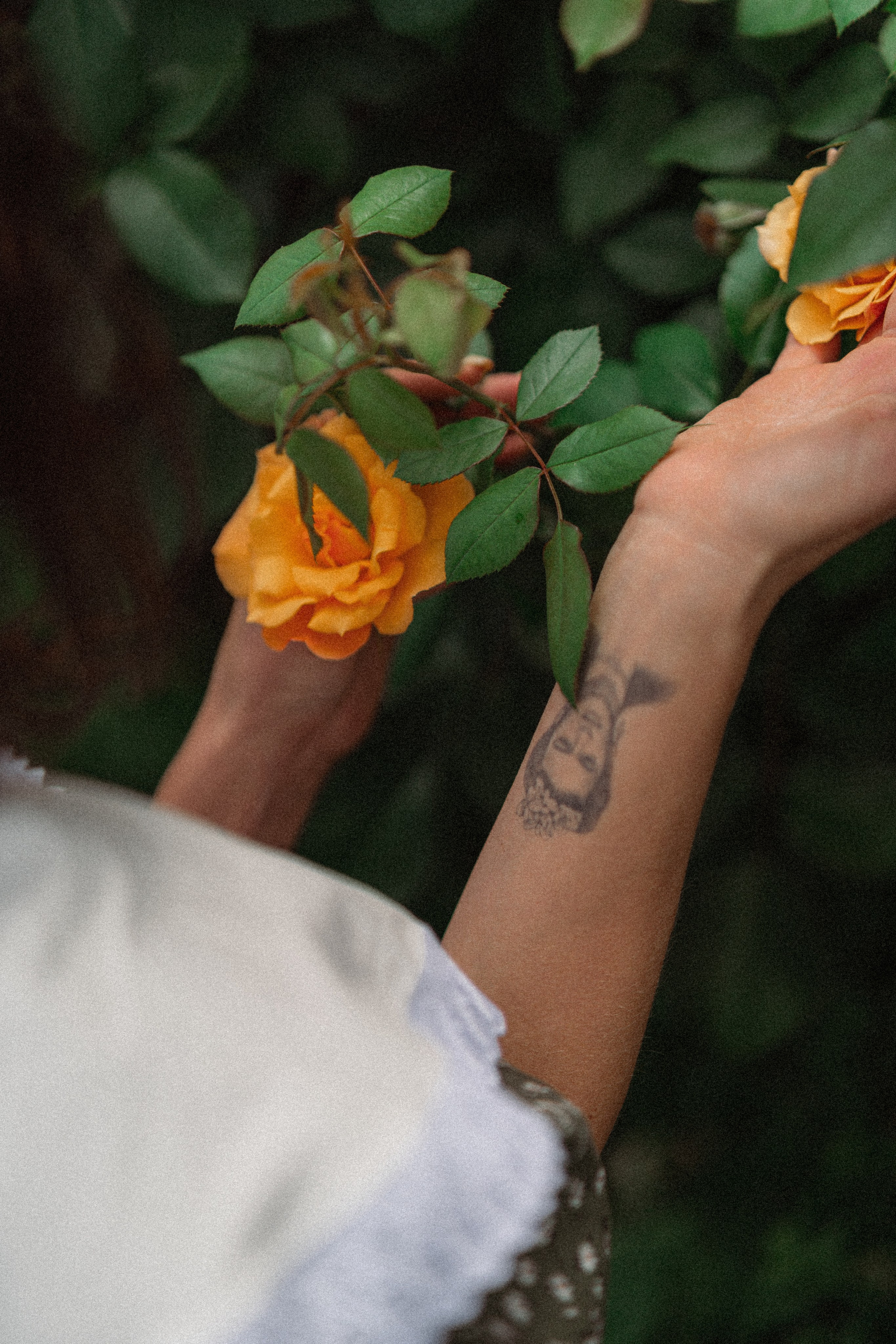 Парк. Фотограф Мария Зайчик