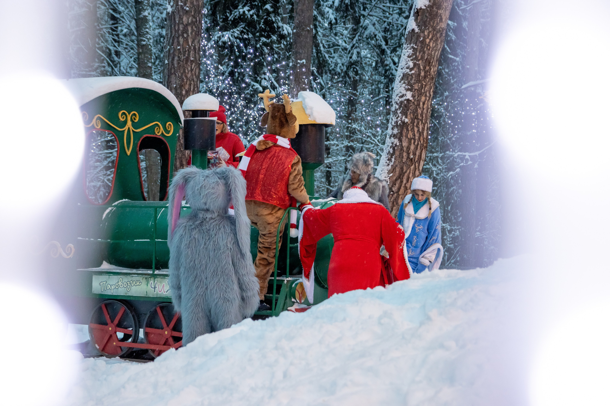 Городской парк. ФОТКИ! Экспресс-фотосессии в Обнинске