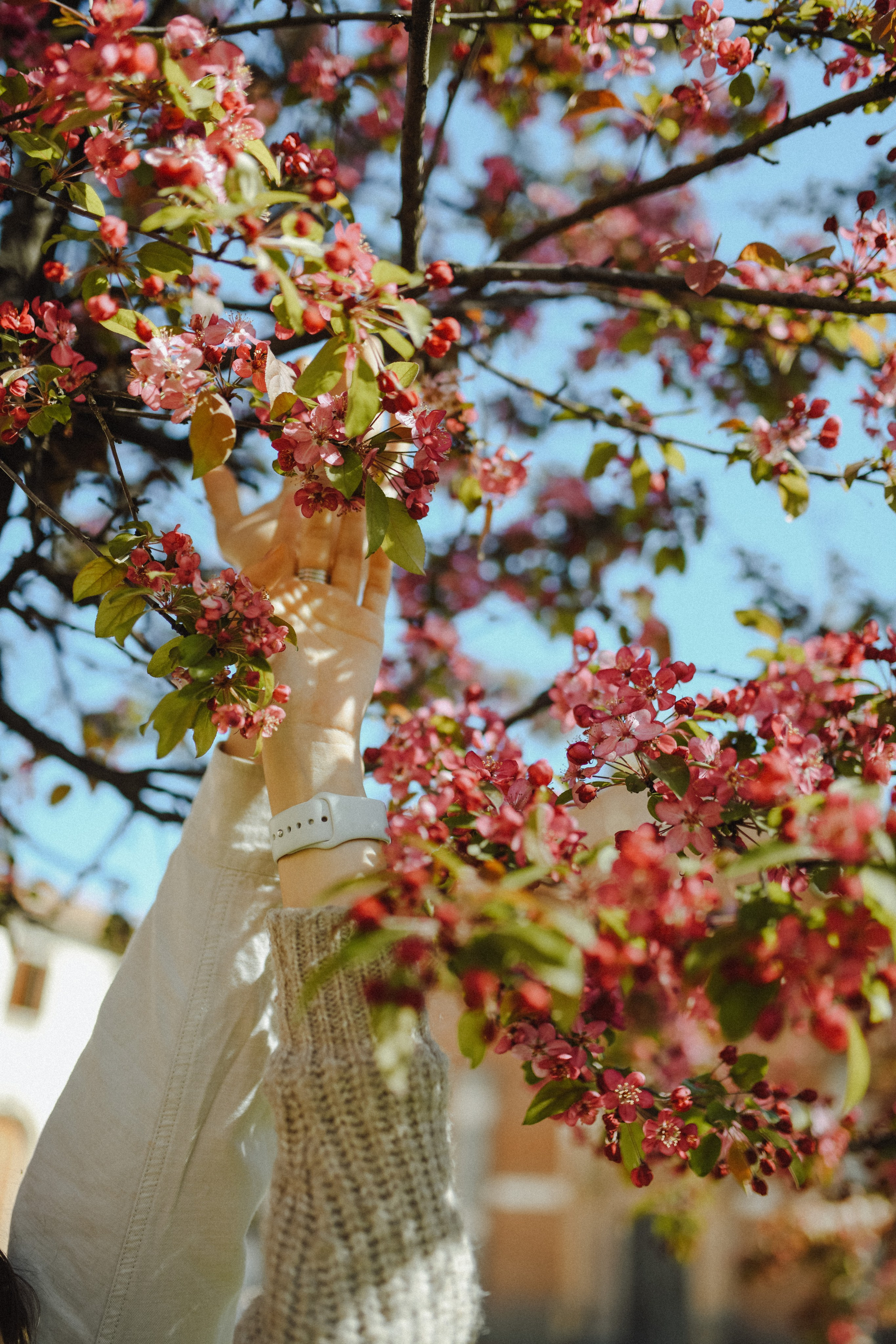 Arseniy&Katya+1. Василиса Кёниг