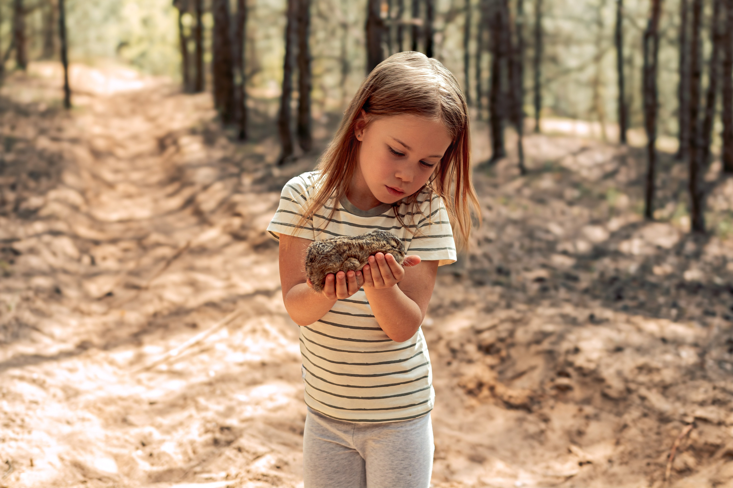 Семейная фотосессия в лесу