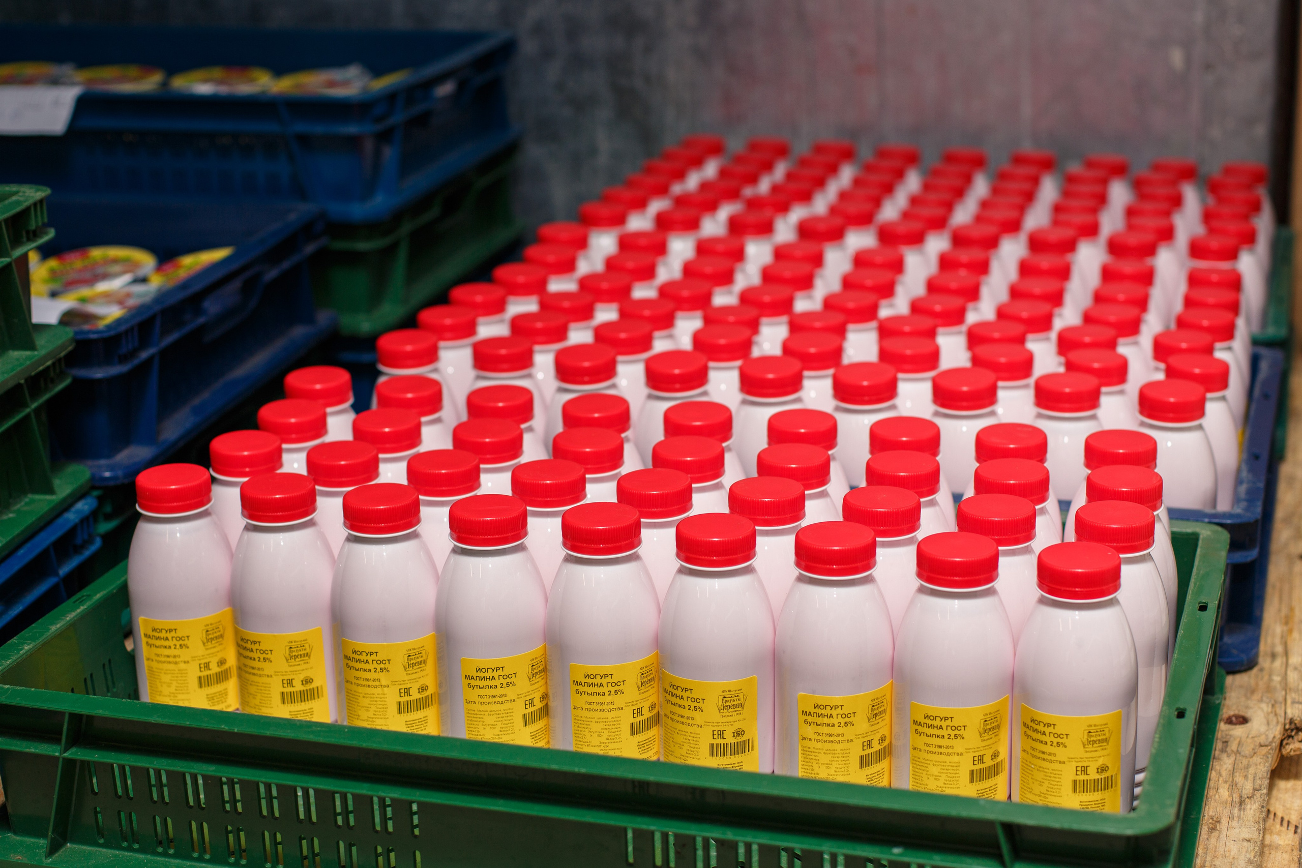 Шатурский Агропромышленный комбинат. Деловая и Бизнес съемка в  Москве Инесса Грушко