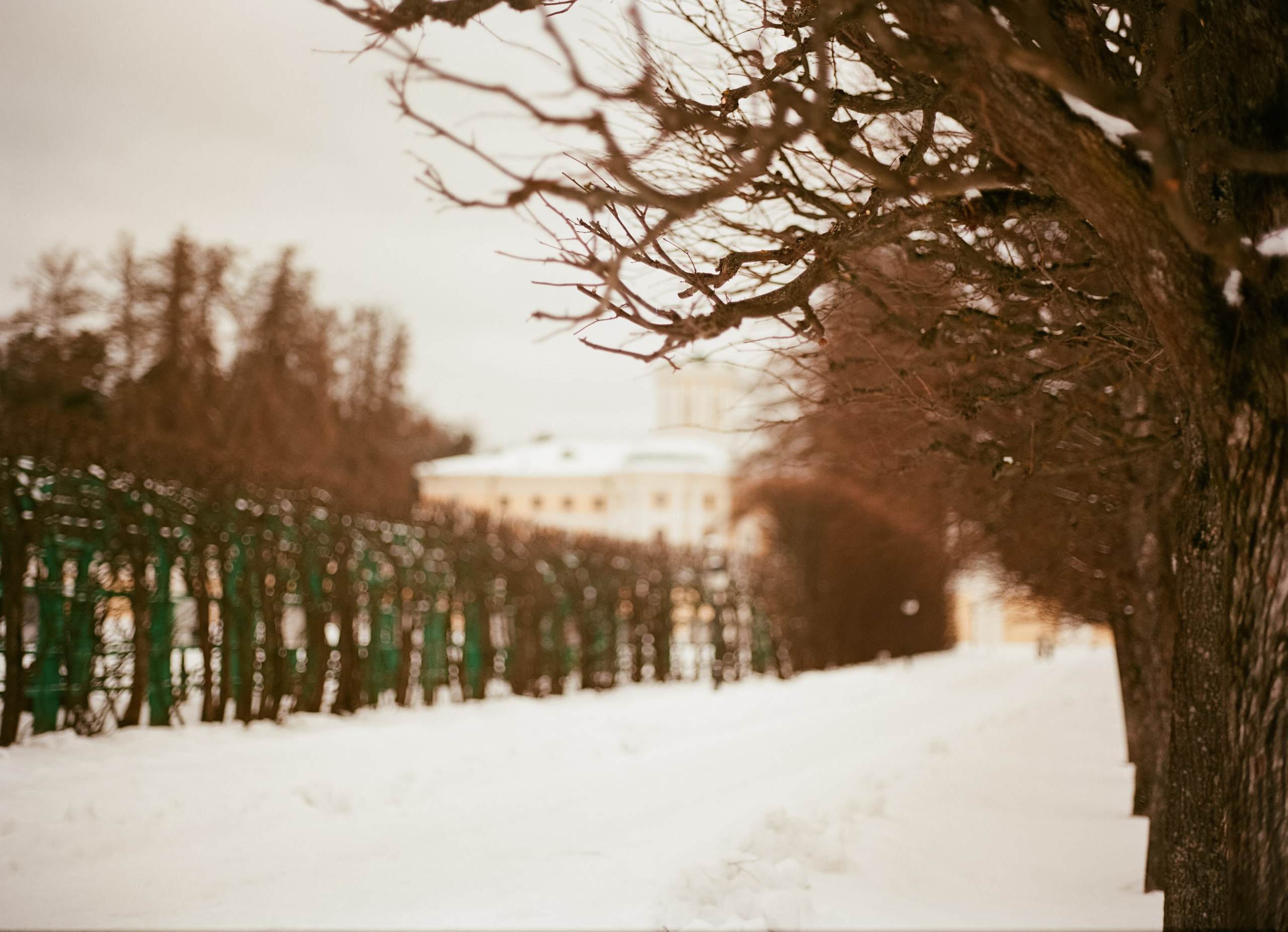 Aeronega ISO 100 (Aerocolor IV)