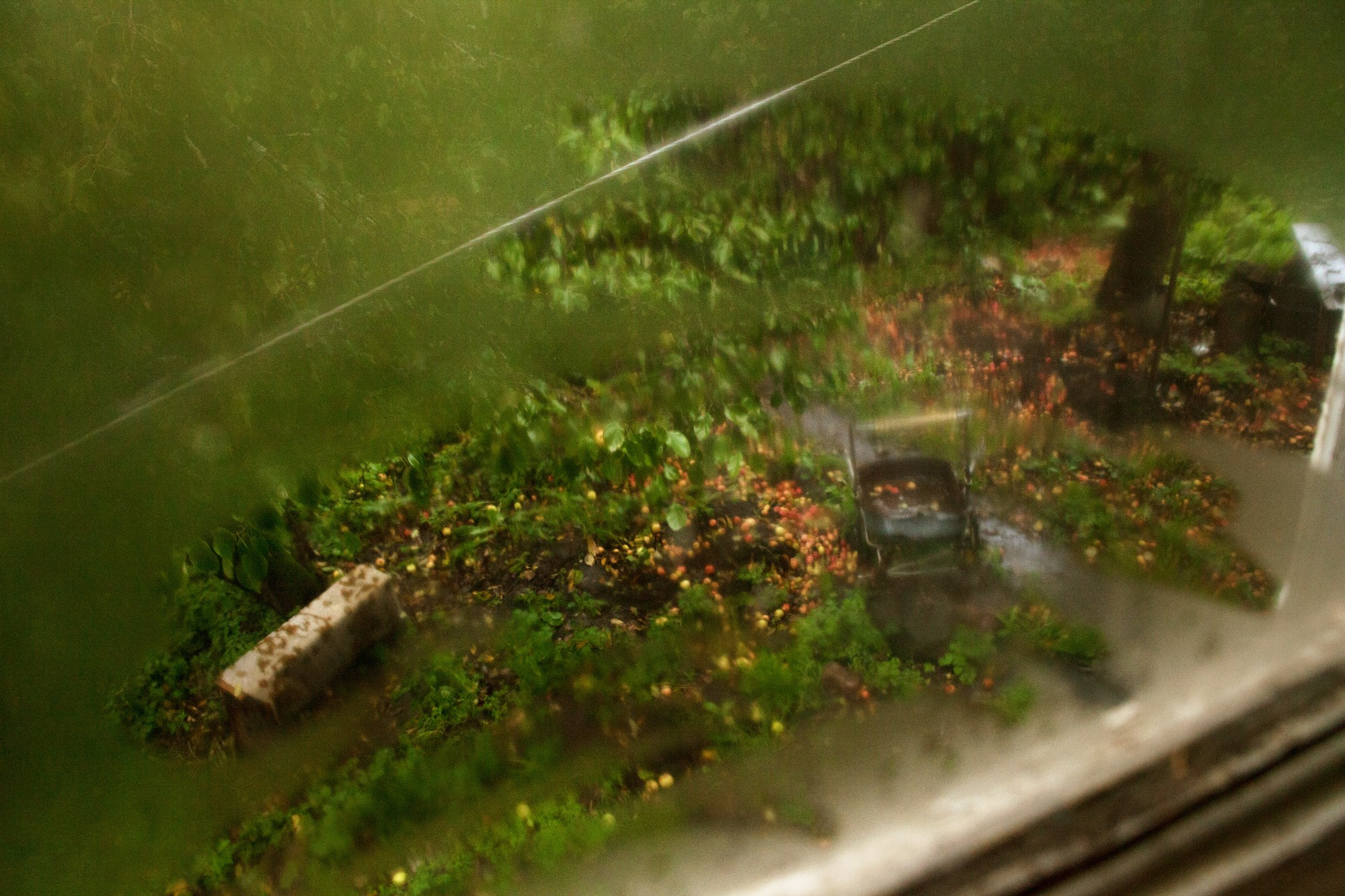 Край. Фотограф Юлия Близнецова