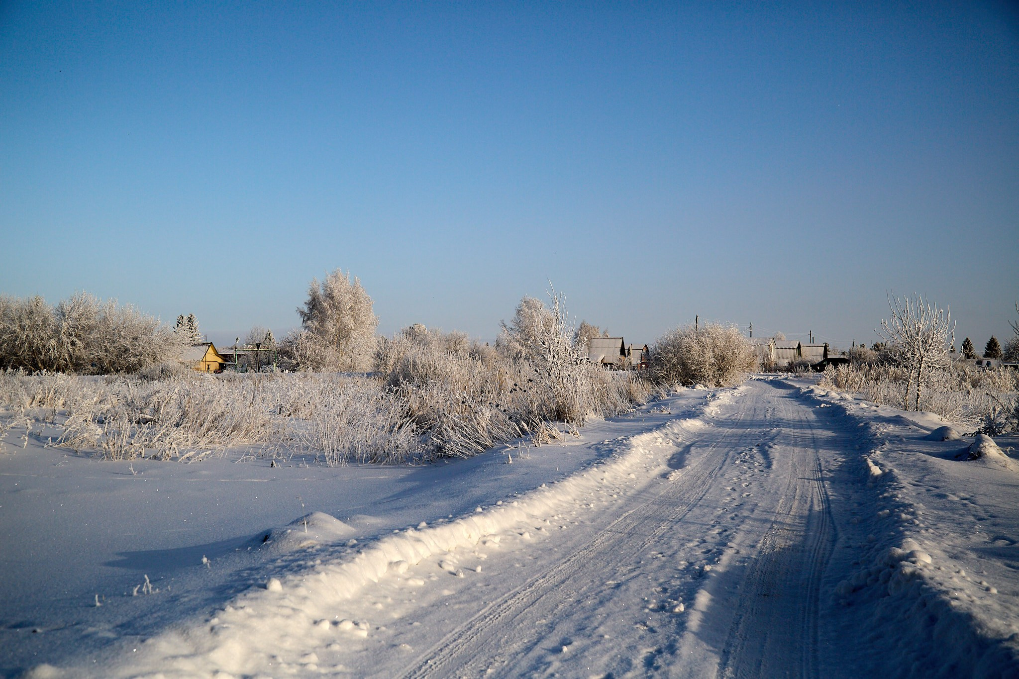 Предновогодняя сказка. Фотограф Омск | Александр Вандеров