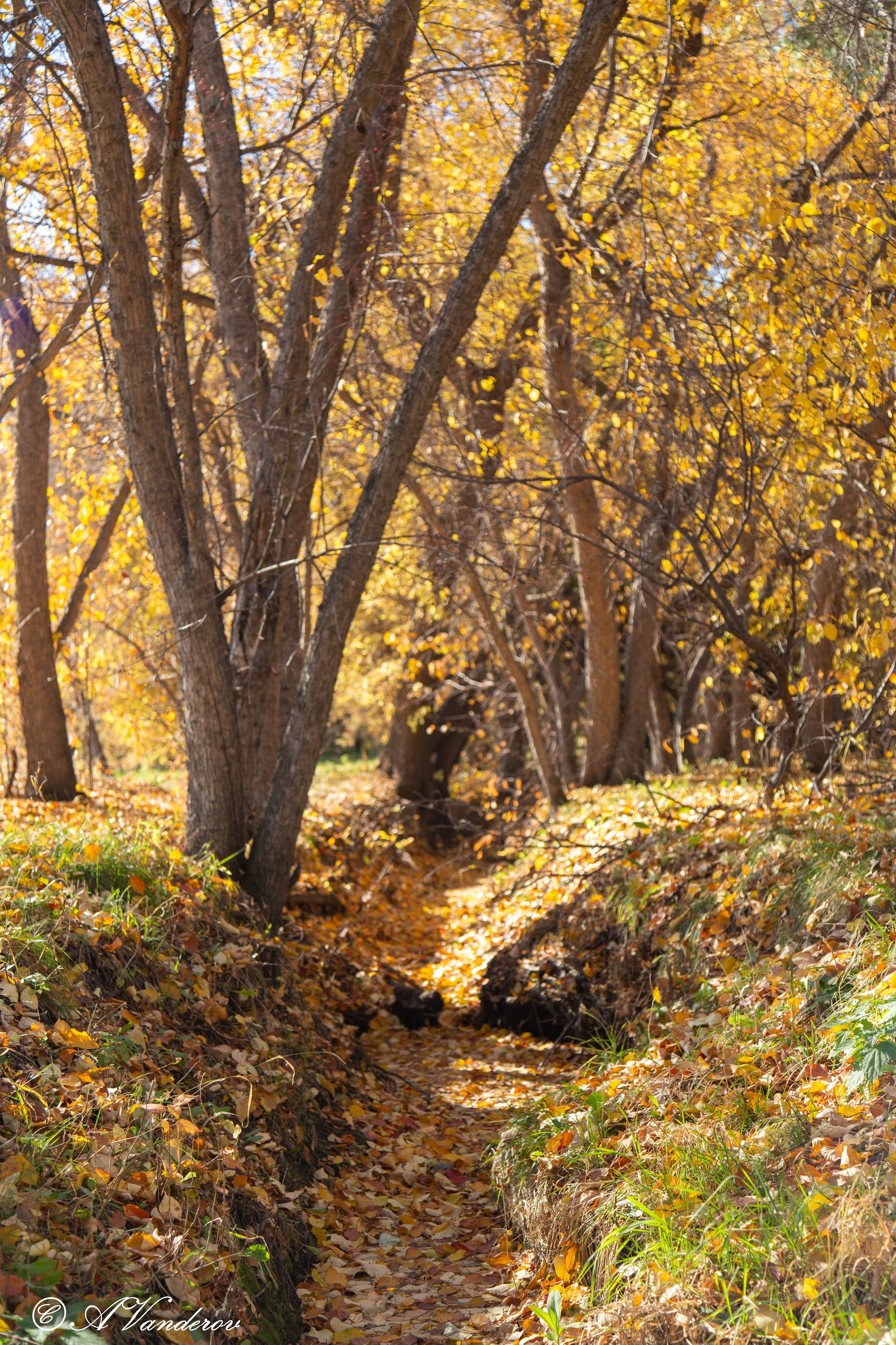 Красота природы. Фотограф Омск | Александр Вандеров