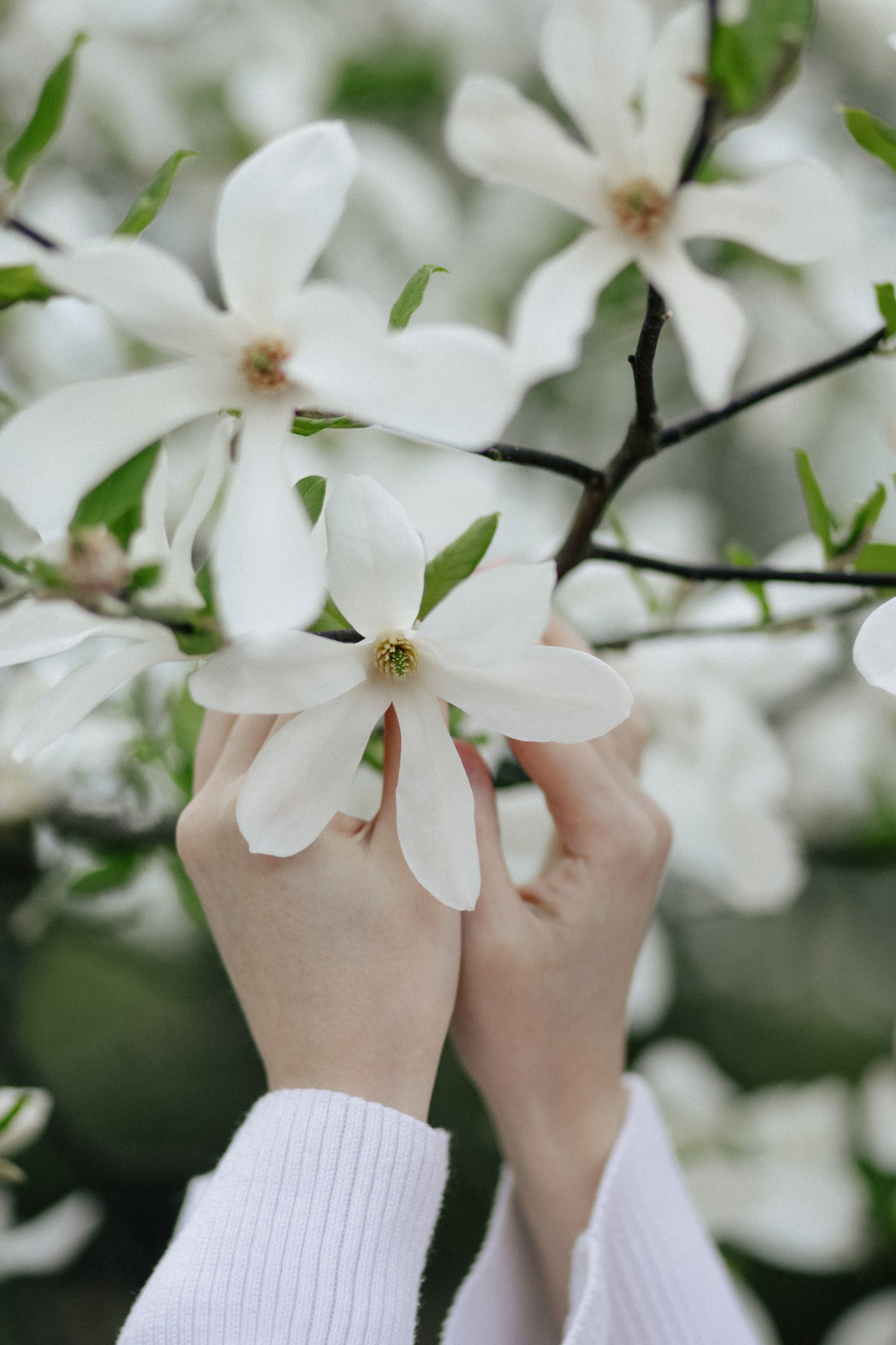 Цвет города. Свадебный и семейный фотограф в Варшаве