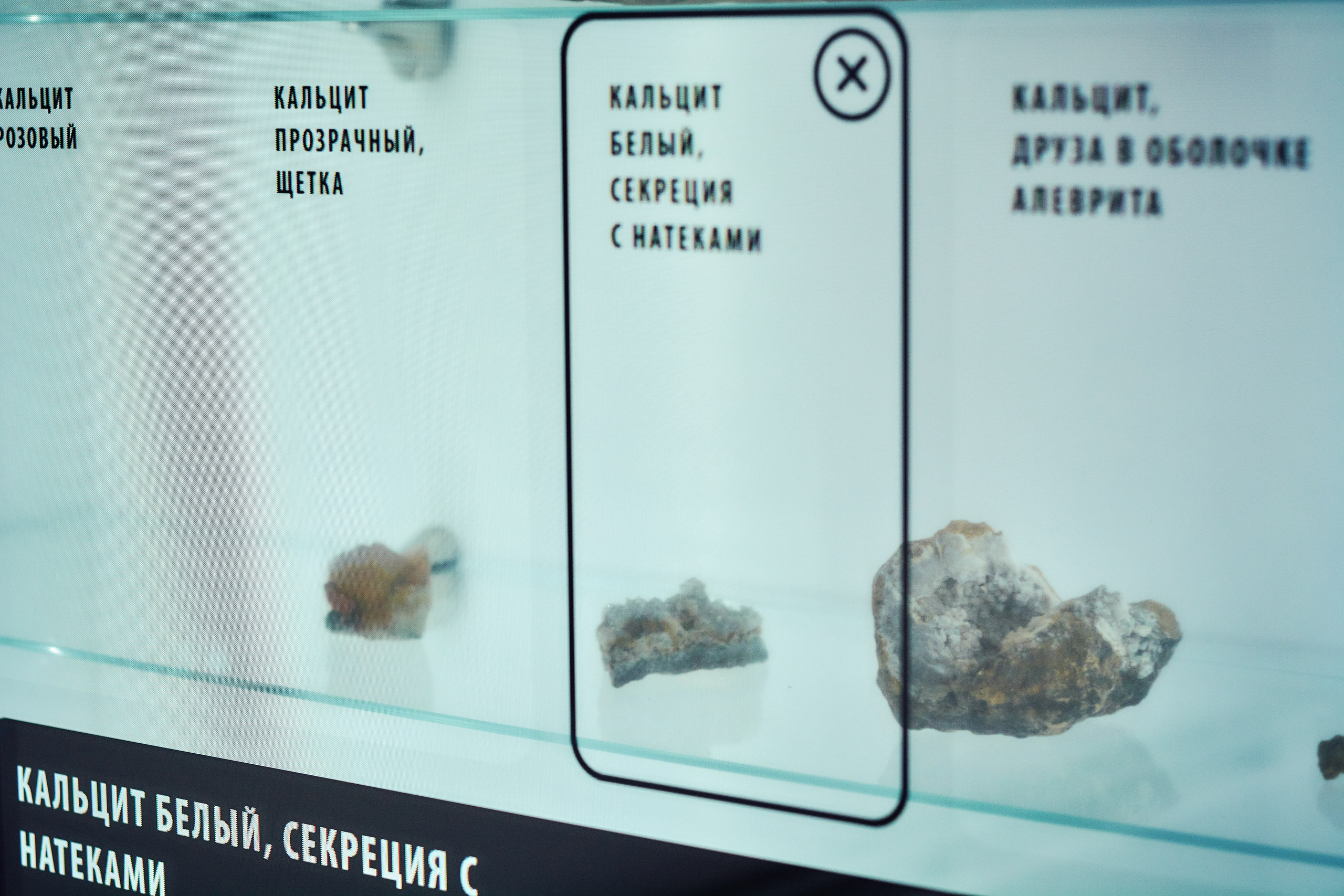 Интерьерная съемка Визит-центр Национальный парк «Кисловодский». Константин Кордонский | Интерьерный и food-фотограф в Кисловодске и КМВ