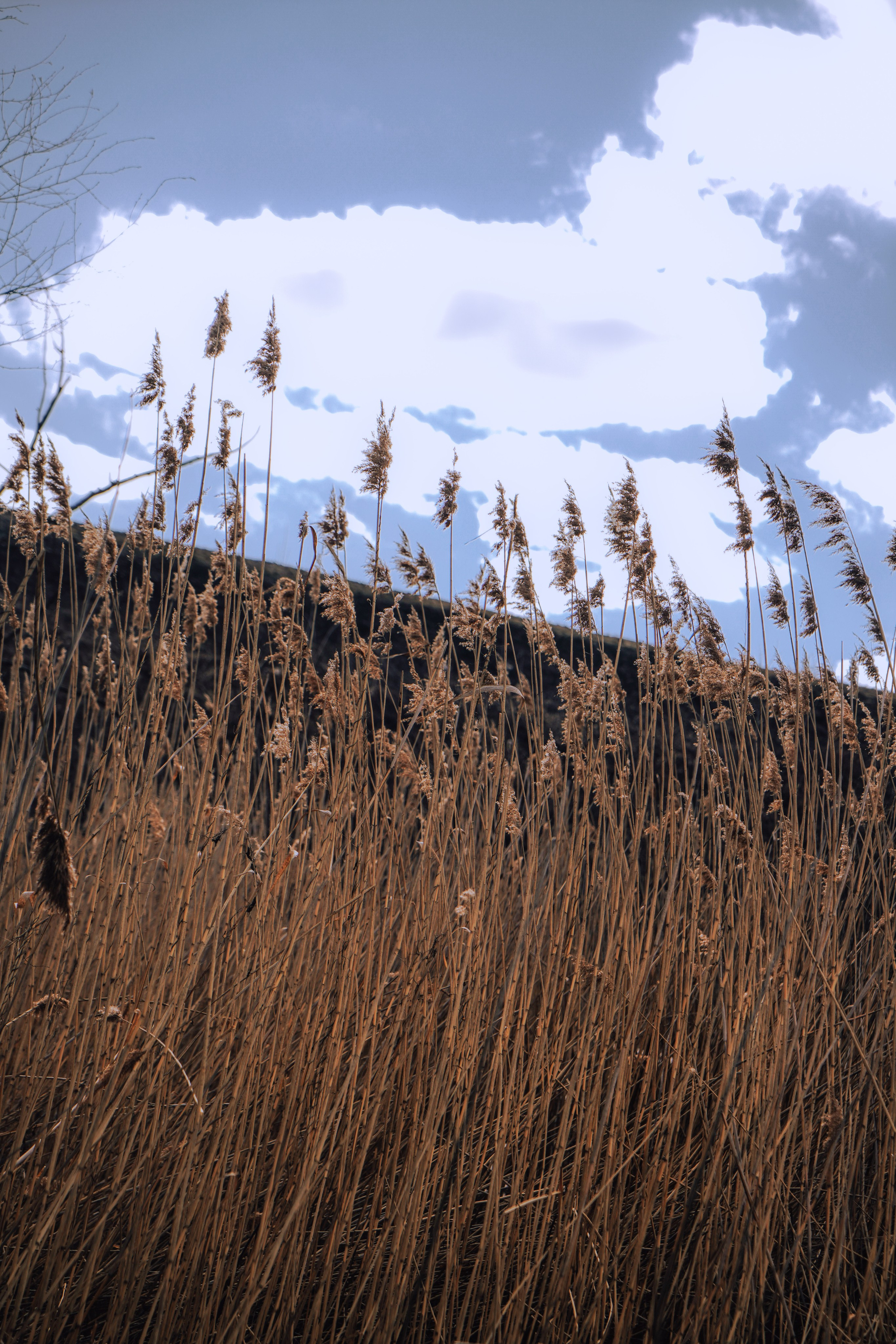 Фурманов, Апрель 2022