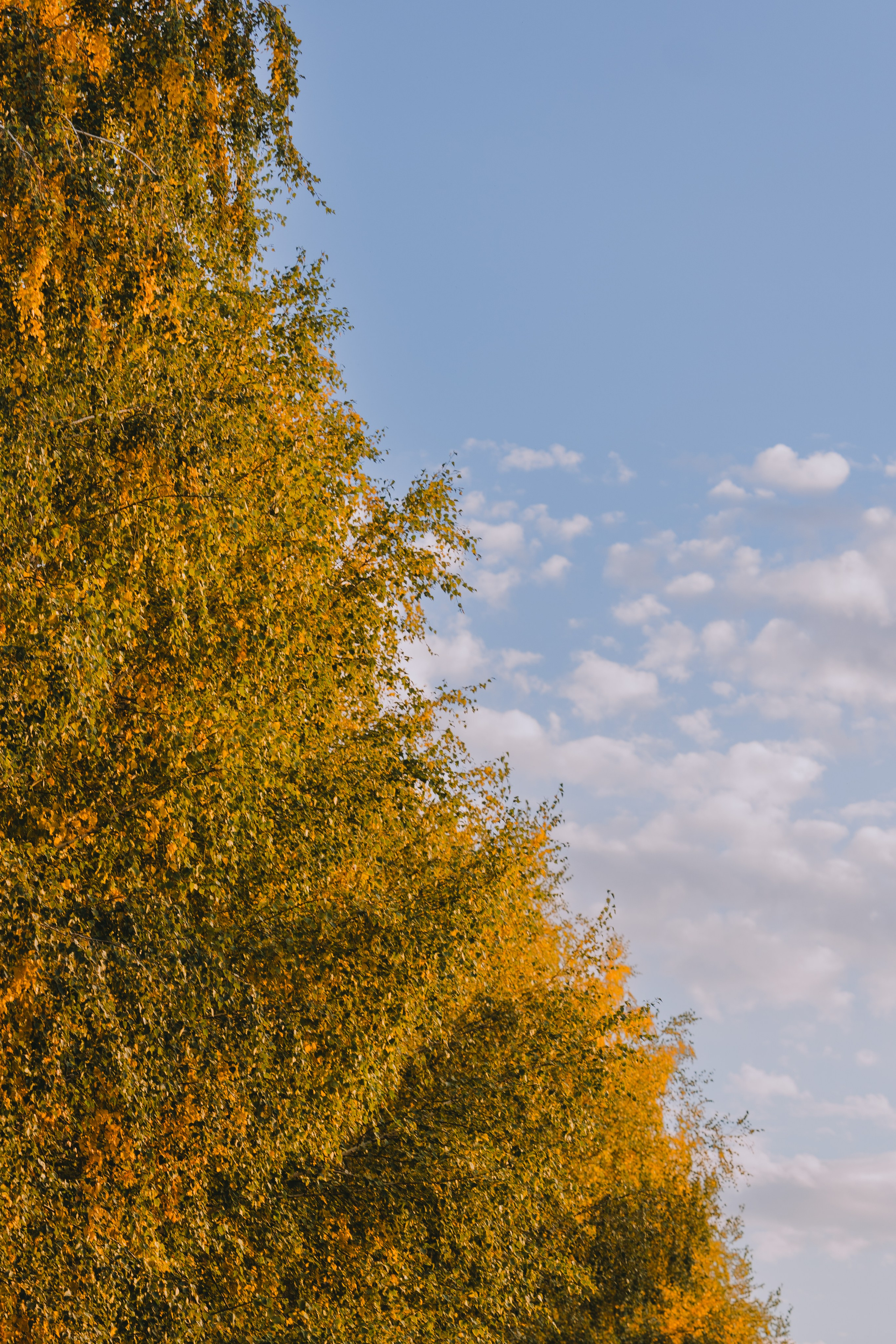 Усть-Каменогорск, Сентябрь 2024