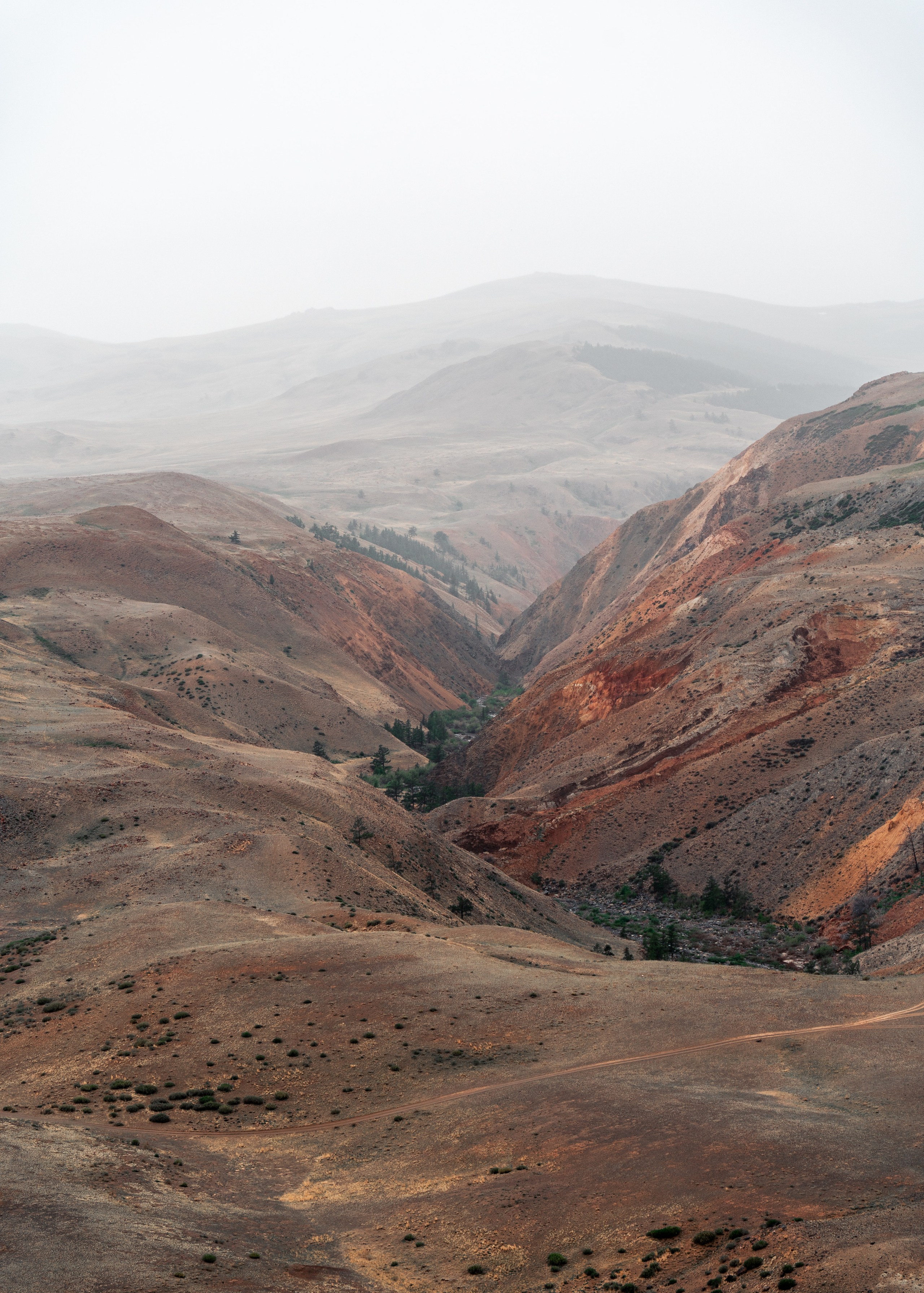 Алтай. Amateur photographer Nikolai Abushinov