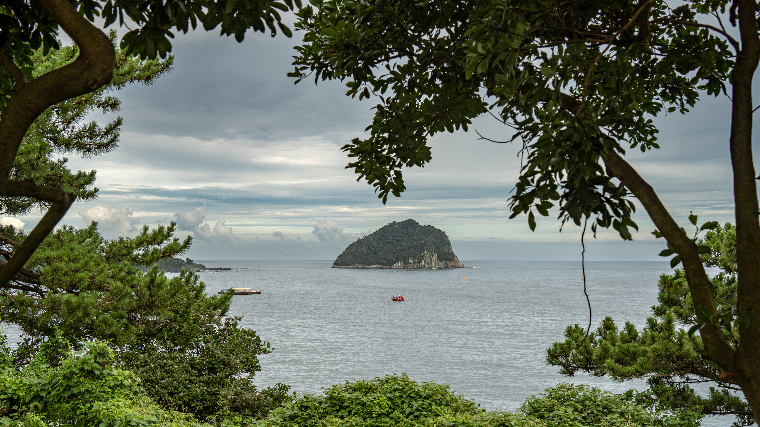 Южная Корея. Amateur photographer Nikolai Abushinov