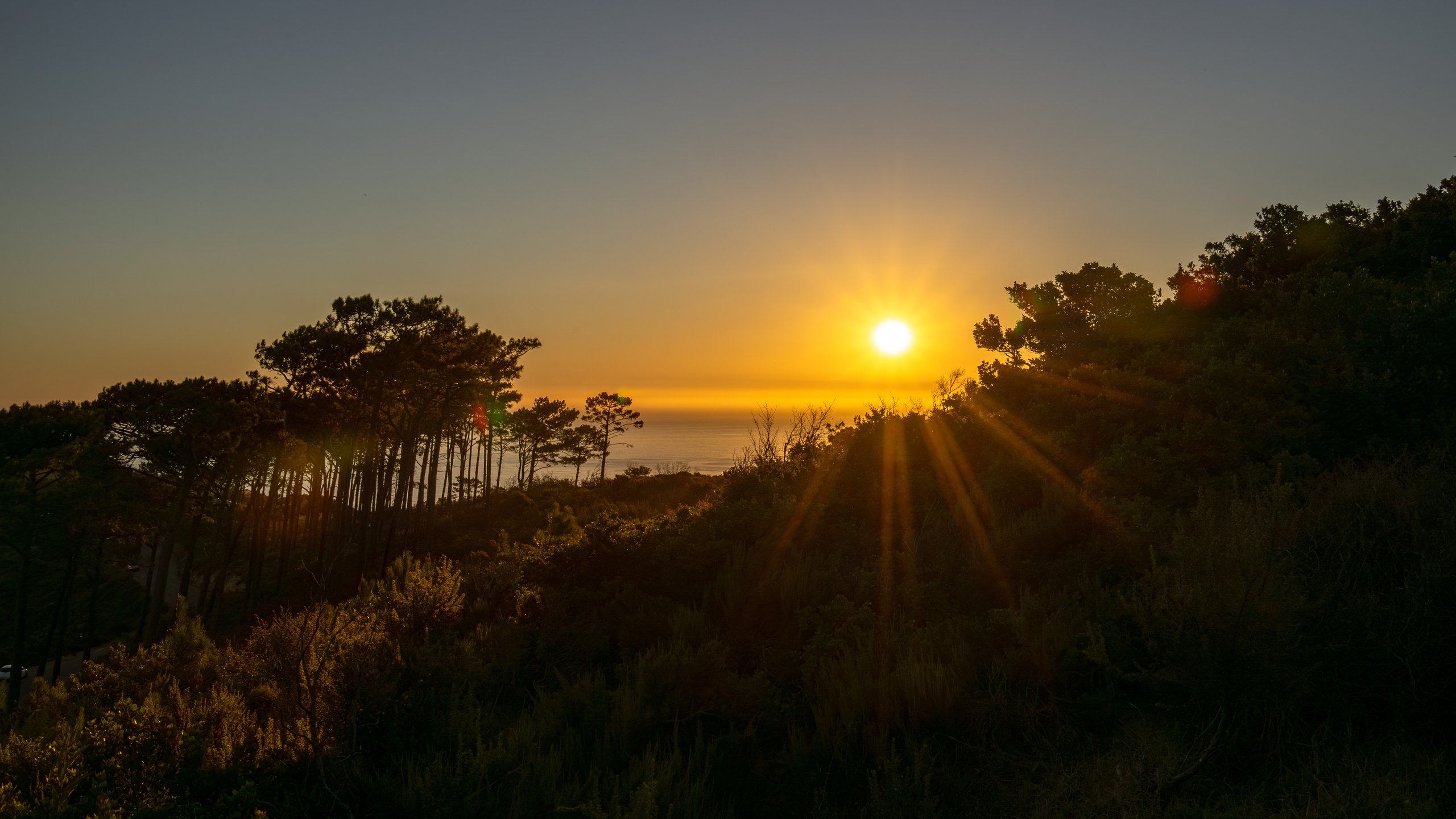 ЮАР. Amateur photographer Nikolai Abushinov