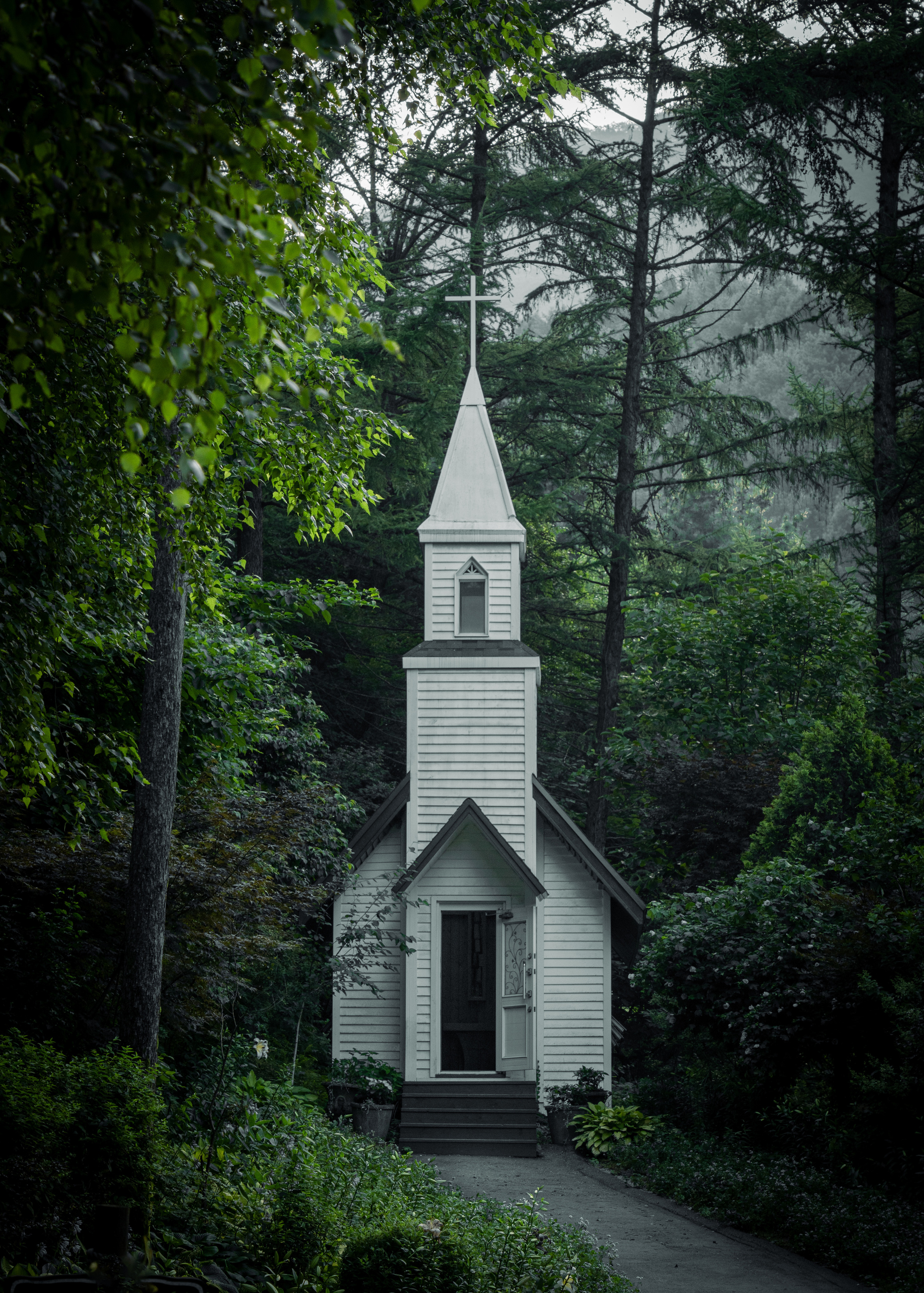 Южная Корея. Amateur photographer Nikolai Abushinov