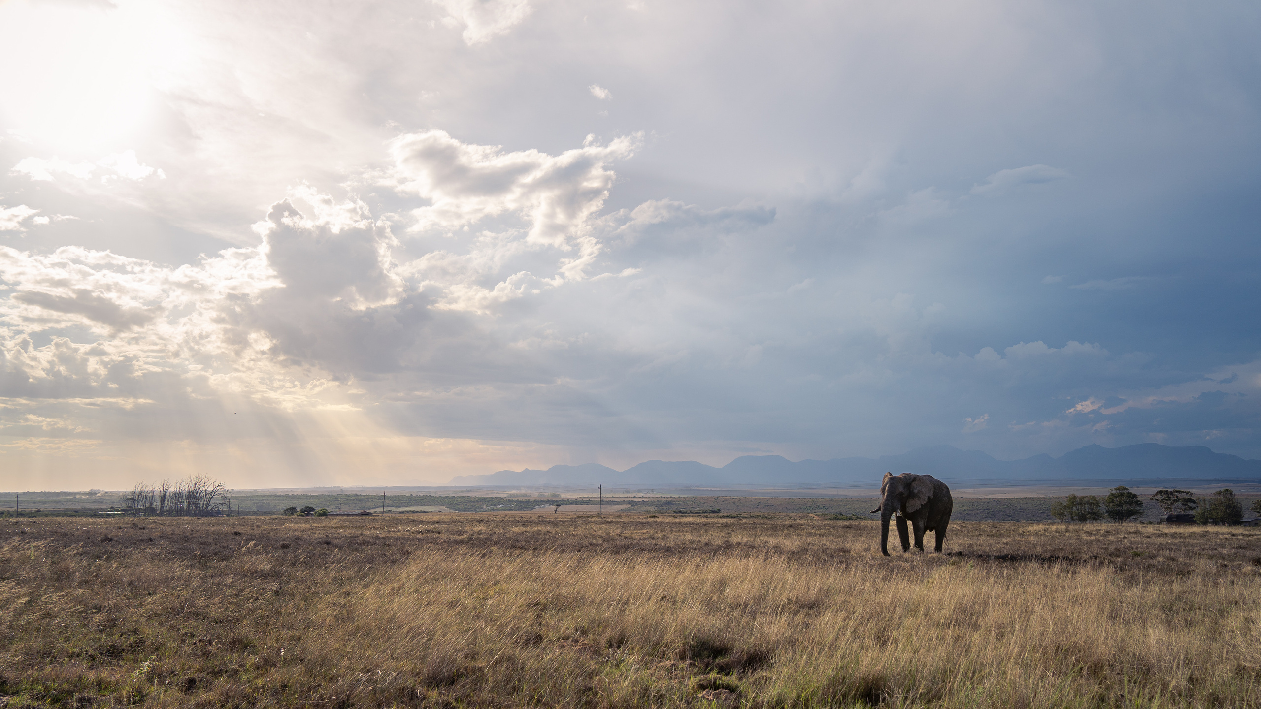 ЮАР. Amateur photographer Nikolai Abushinov