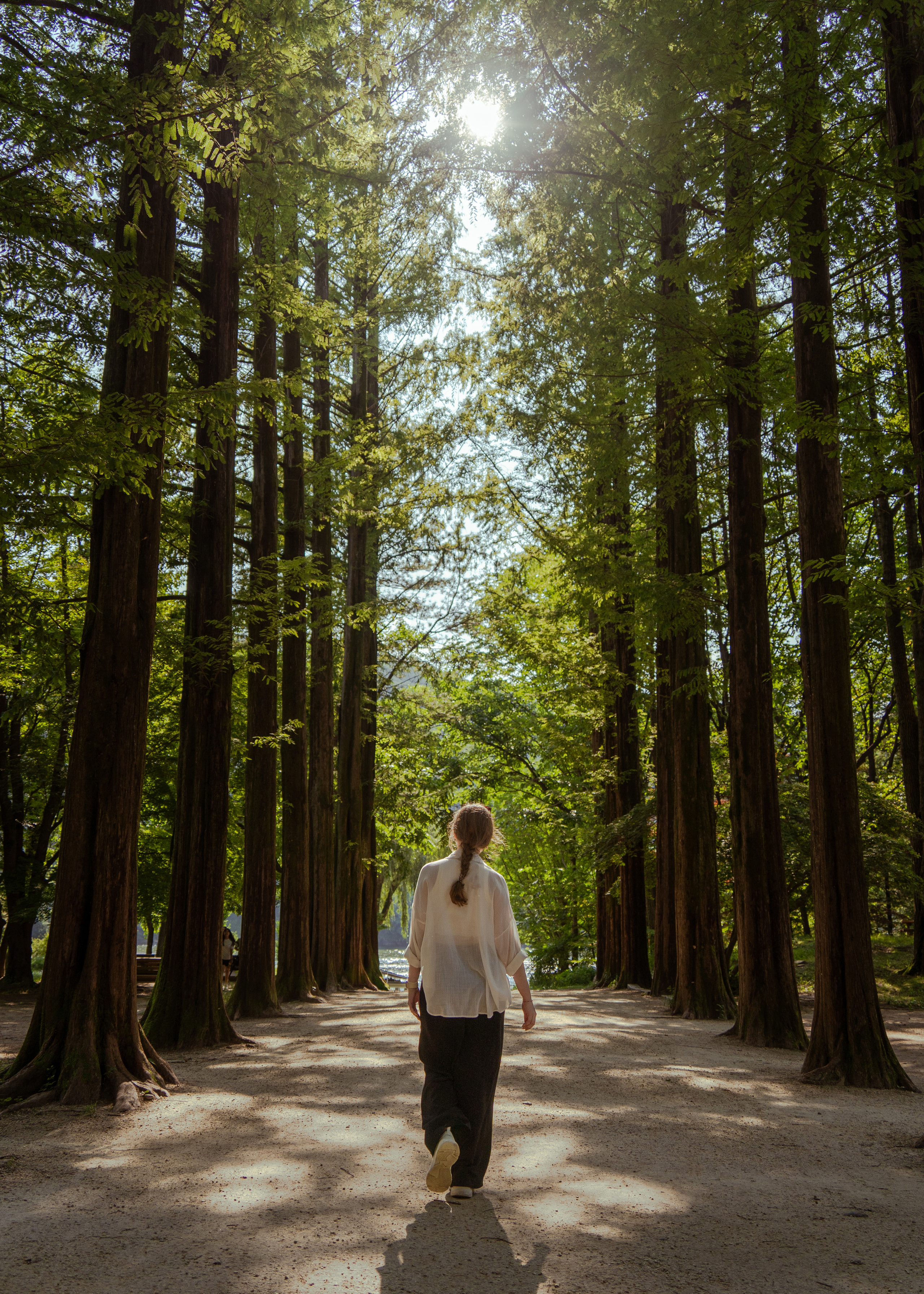 Южная Корея. Amateur photographer Nikolai Abushinov