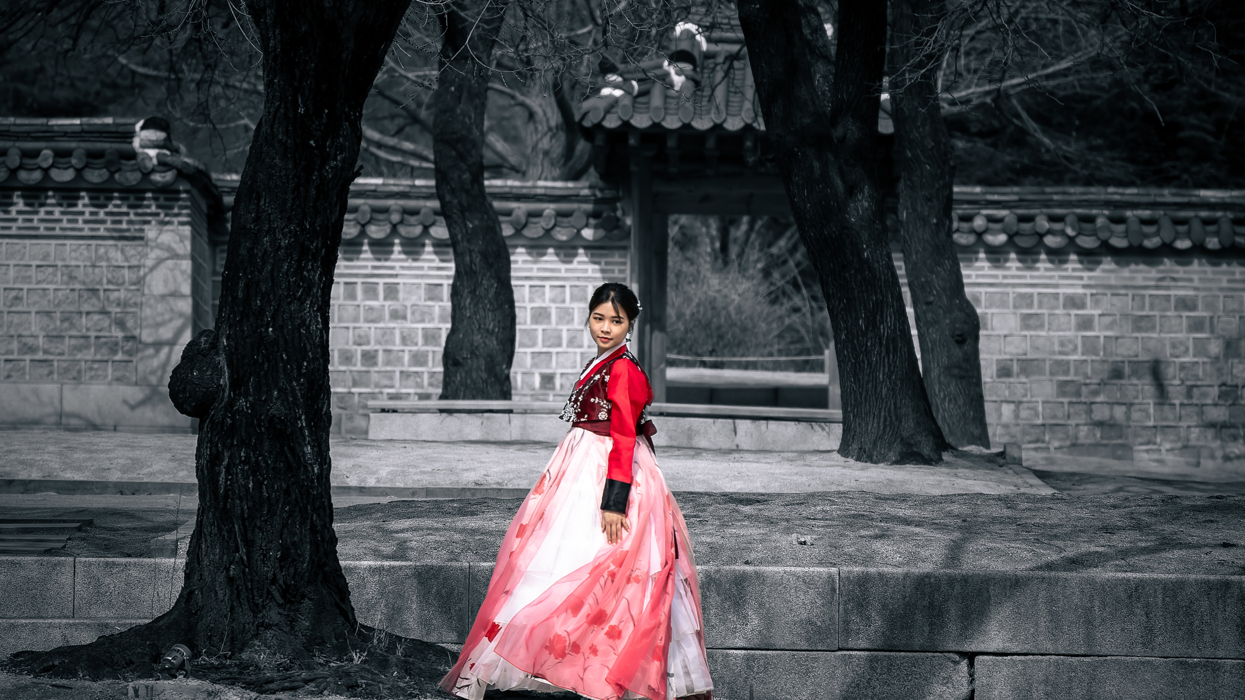 Южная Корея. Amateur photographer Nikolai Abushinov