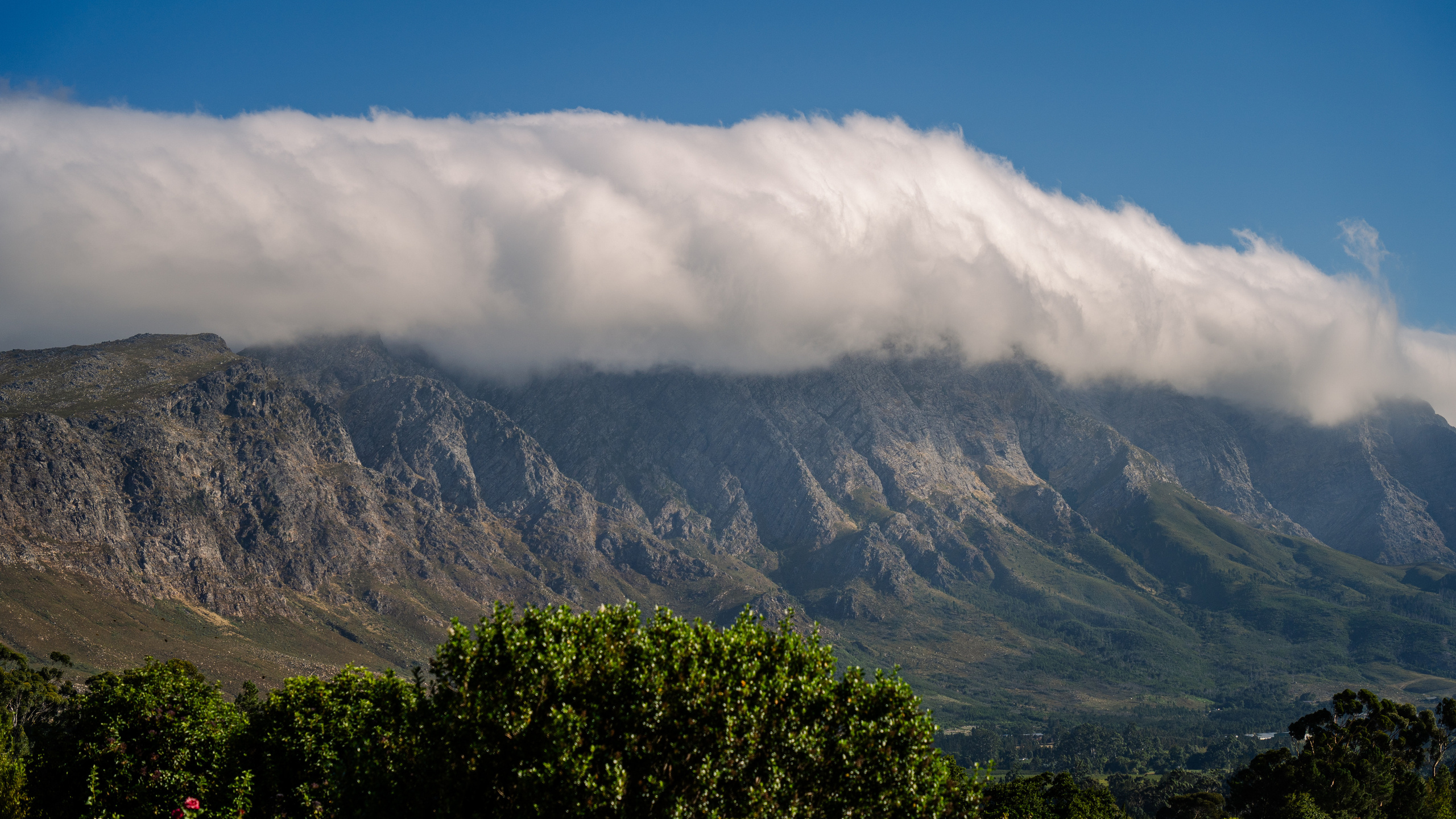 ЮАР. Amateur photographer Nikolai Abushinov