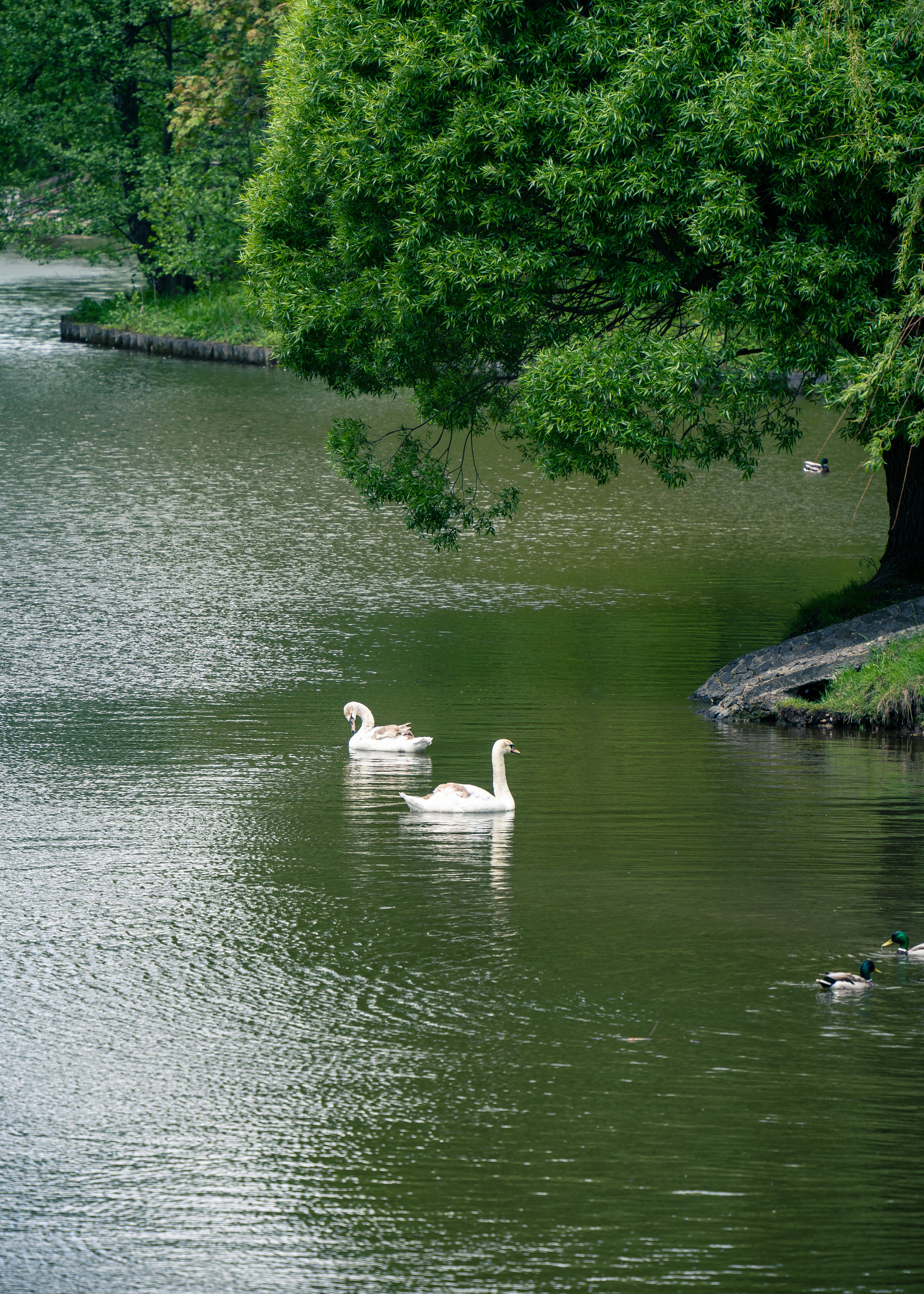 Москва. Amateur photographer Nikolai Abushinov