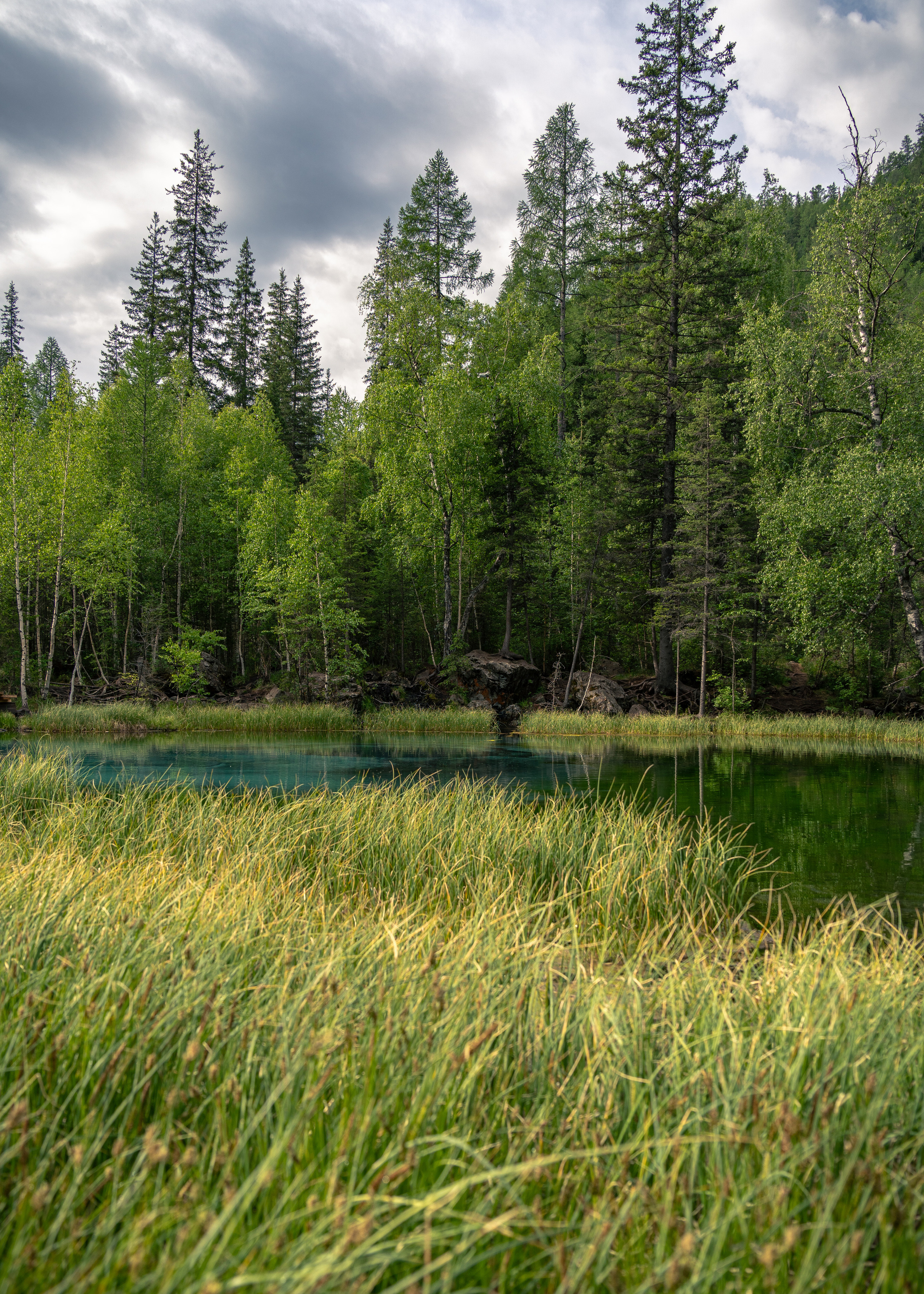 Алтай. Amateur photographer Nikolai Abushinov