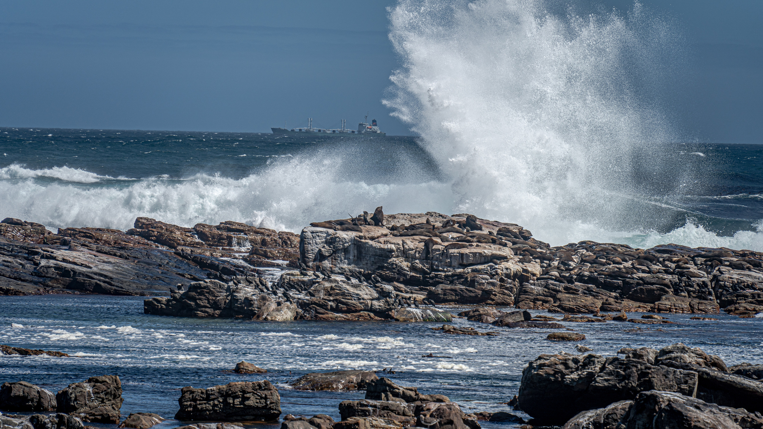 ЮАР. Amateur photographer Nikolai Abushinov