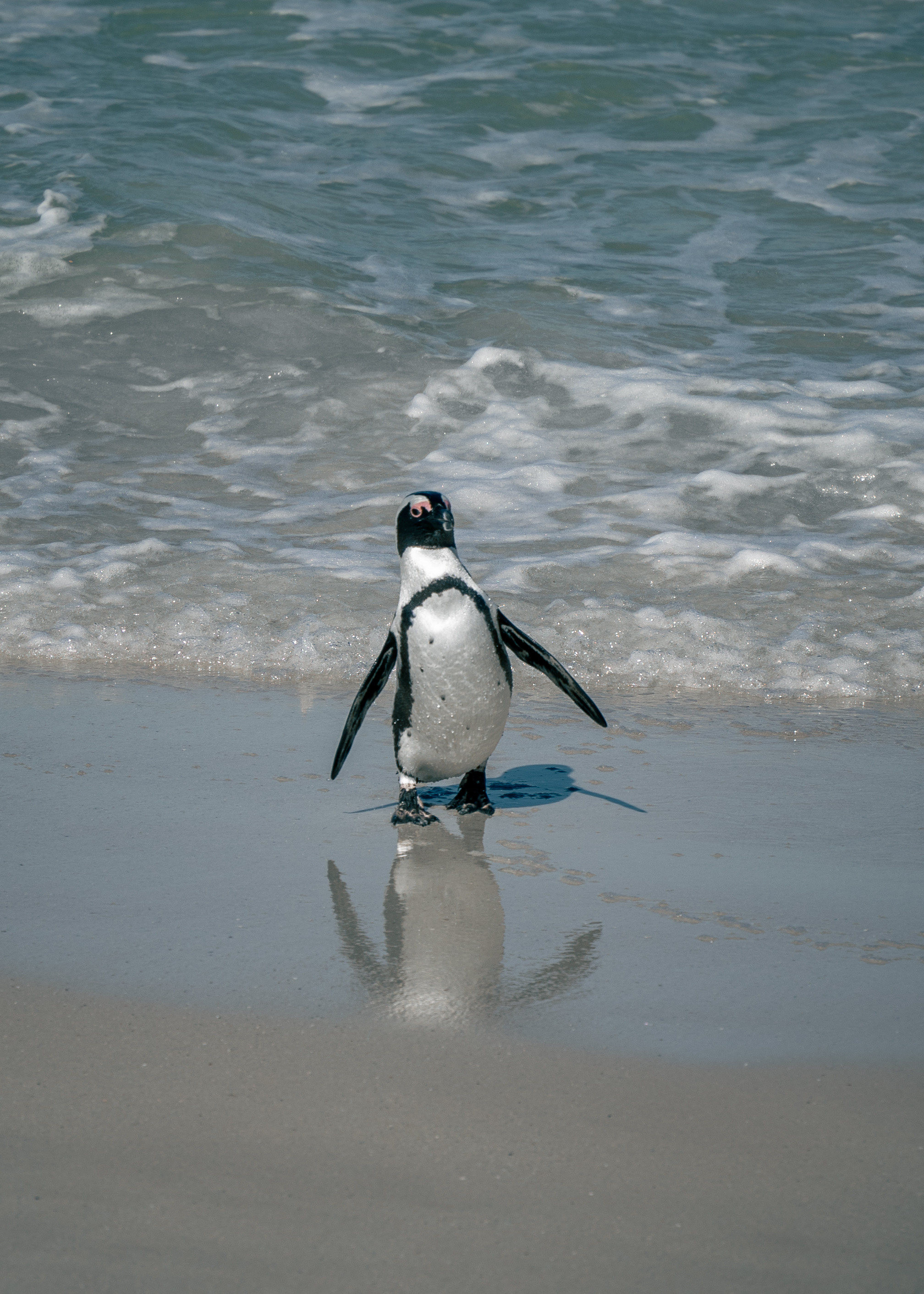 ЮАР. Amateur photographer Nikolai Abushinov