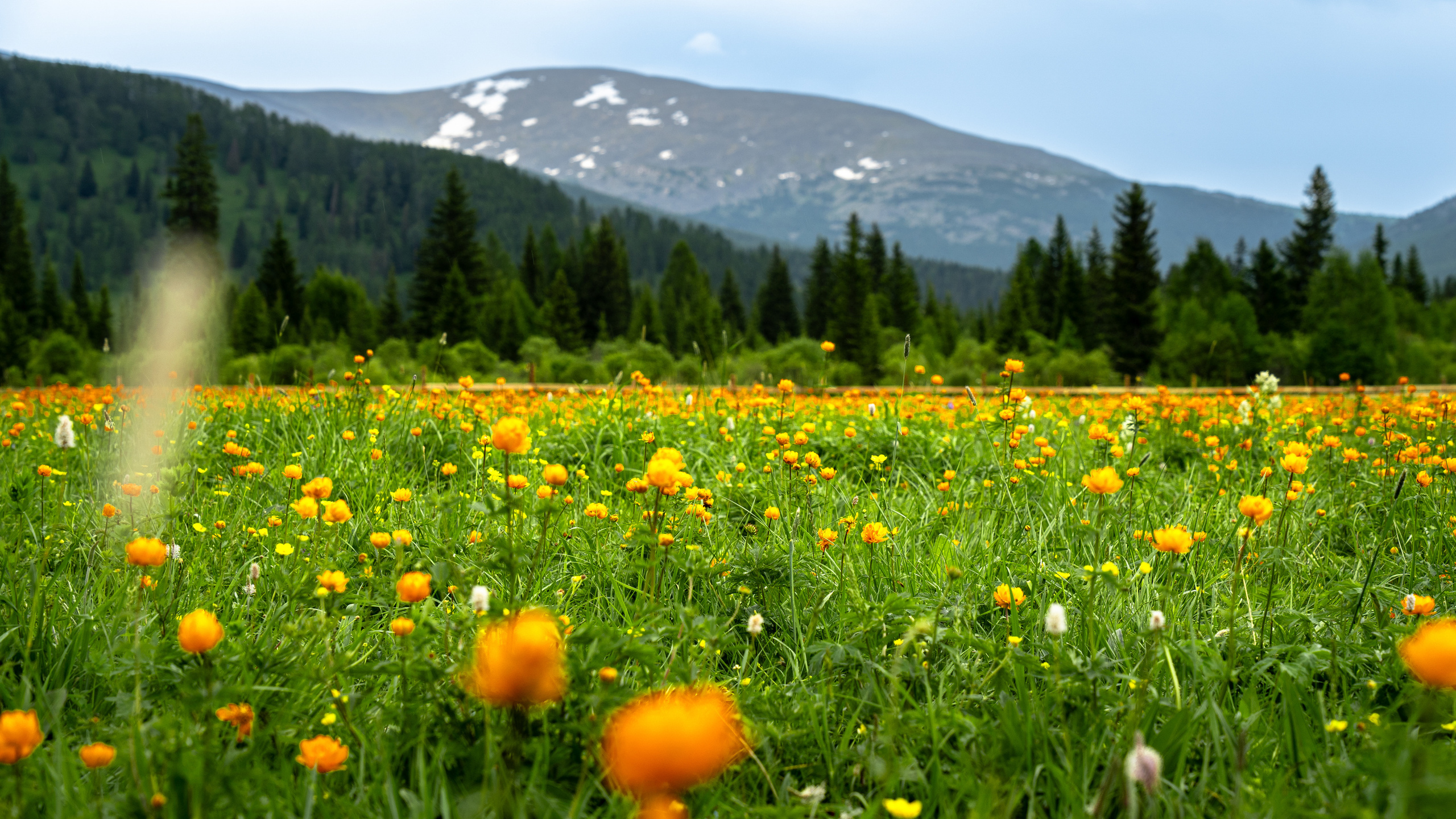 Алтай. Amateur photographer Nikolai Abushinov