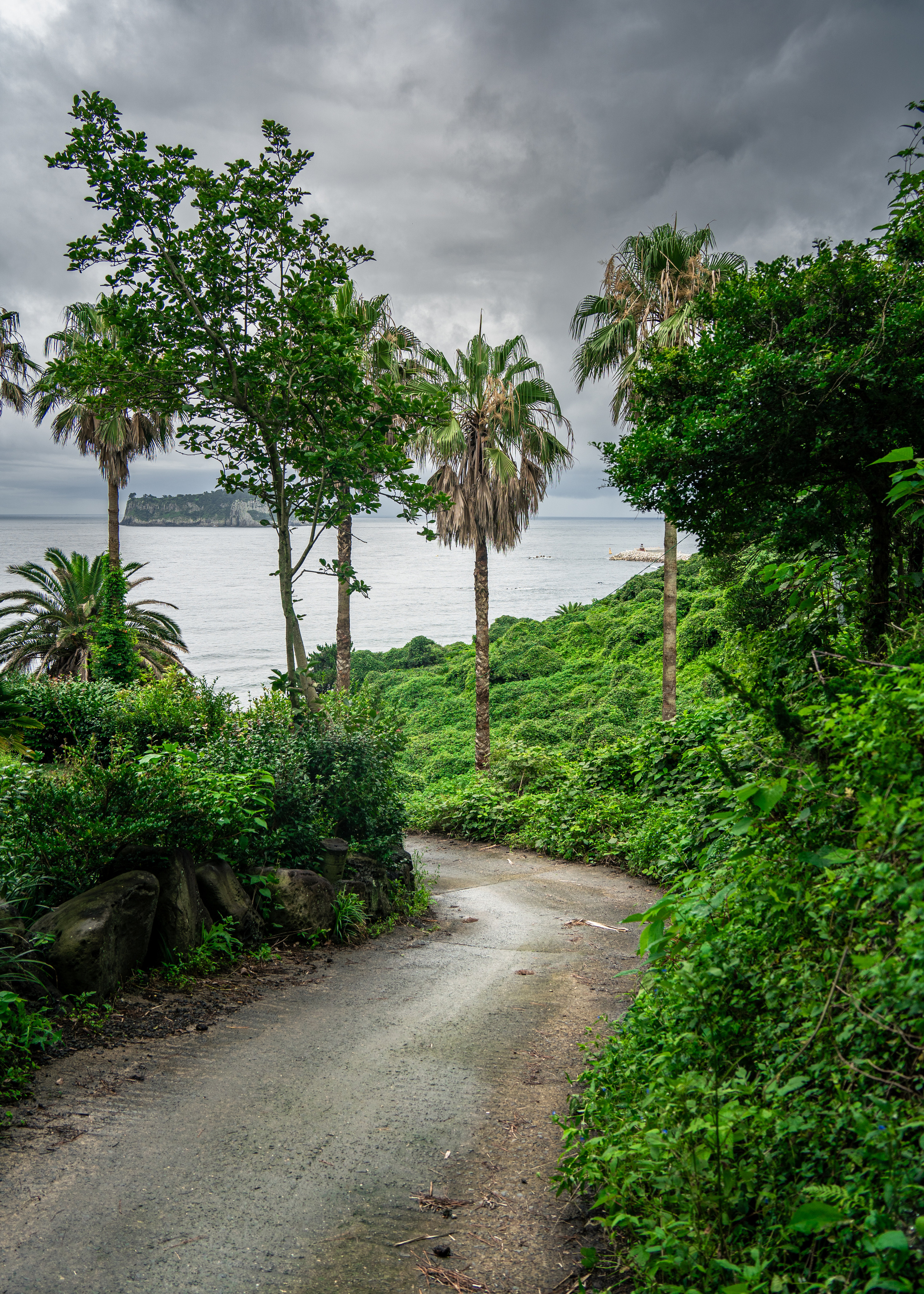 Южная Корея. Amateur photographer Nikolai Abushinov