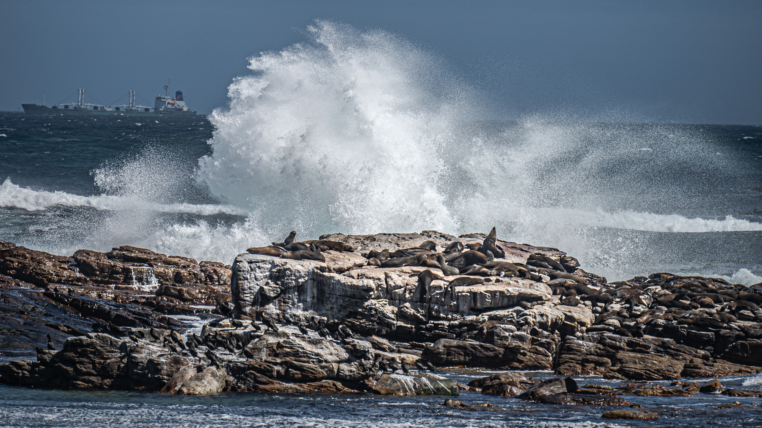 ЮАР. Amateur photographer Nikolai Abushinov