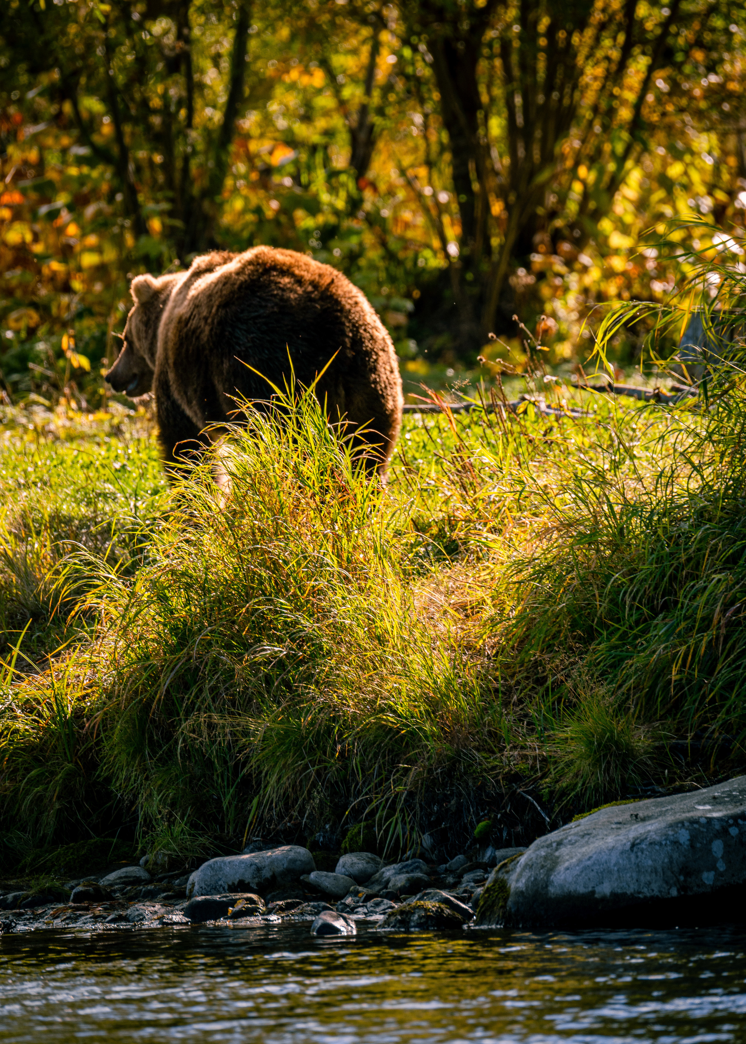 Камчатка. Amateur photographer Nikolai Abushinov