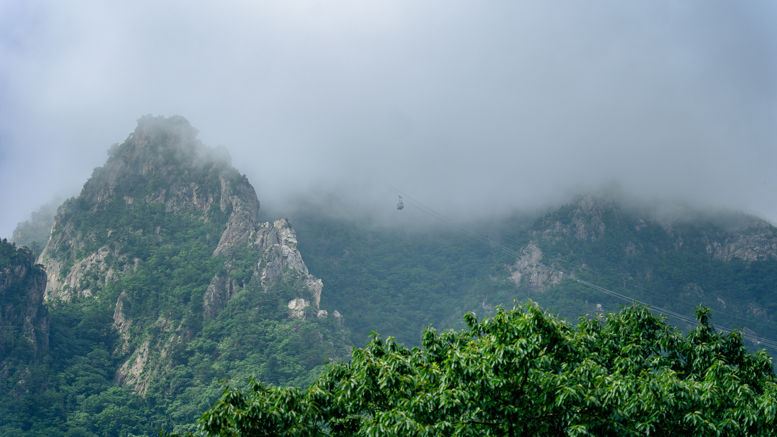 Южная Корея. Amateur photographer Nikolai Abushinov