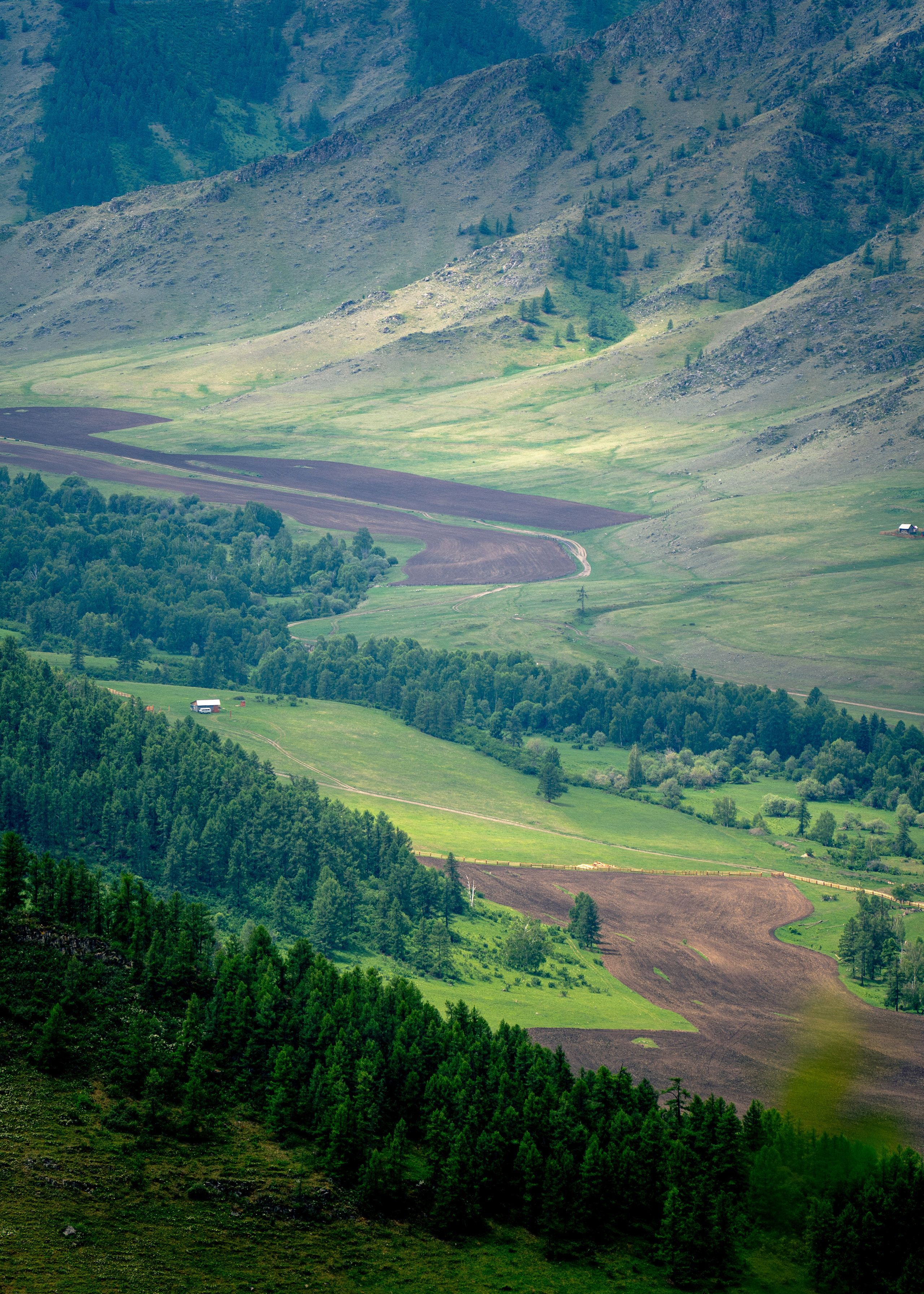 Алтай. Amateur photographer Nikolai Abushinov