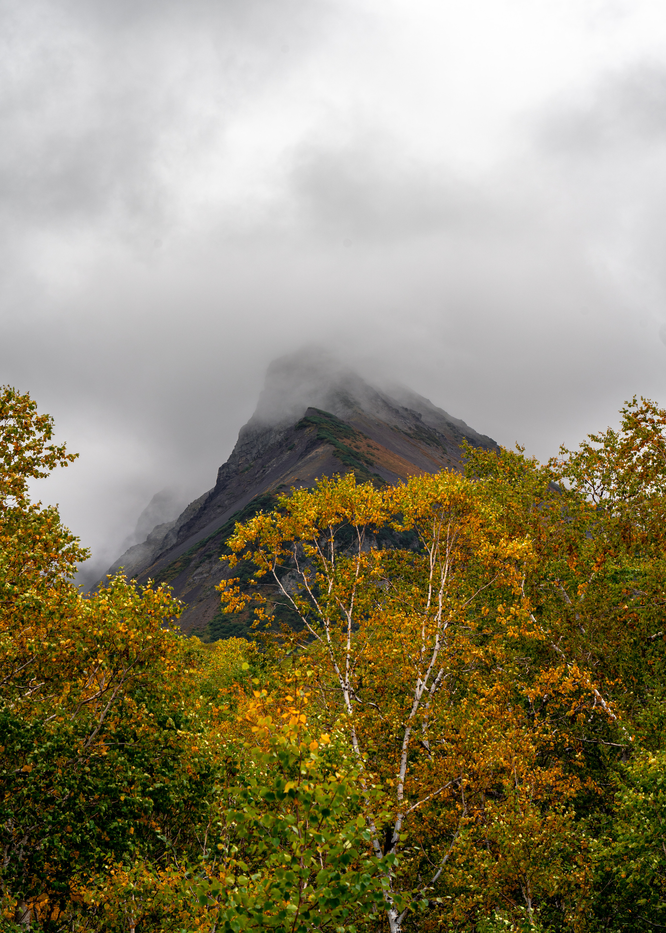 Камчатка. Amateur photographer Nikolai Abushinov