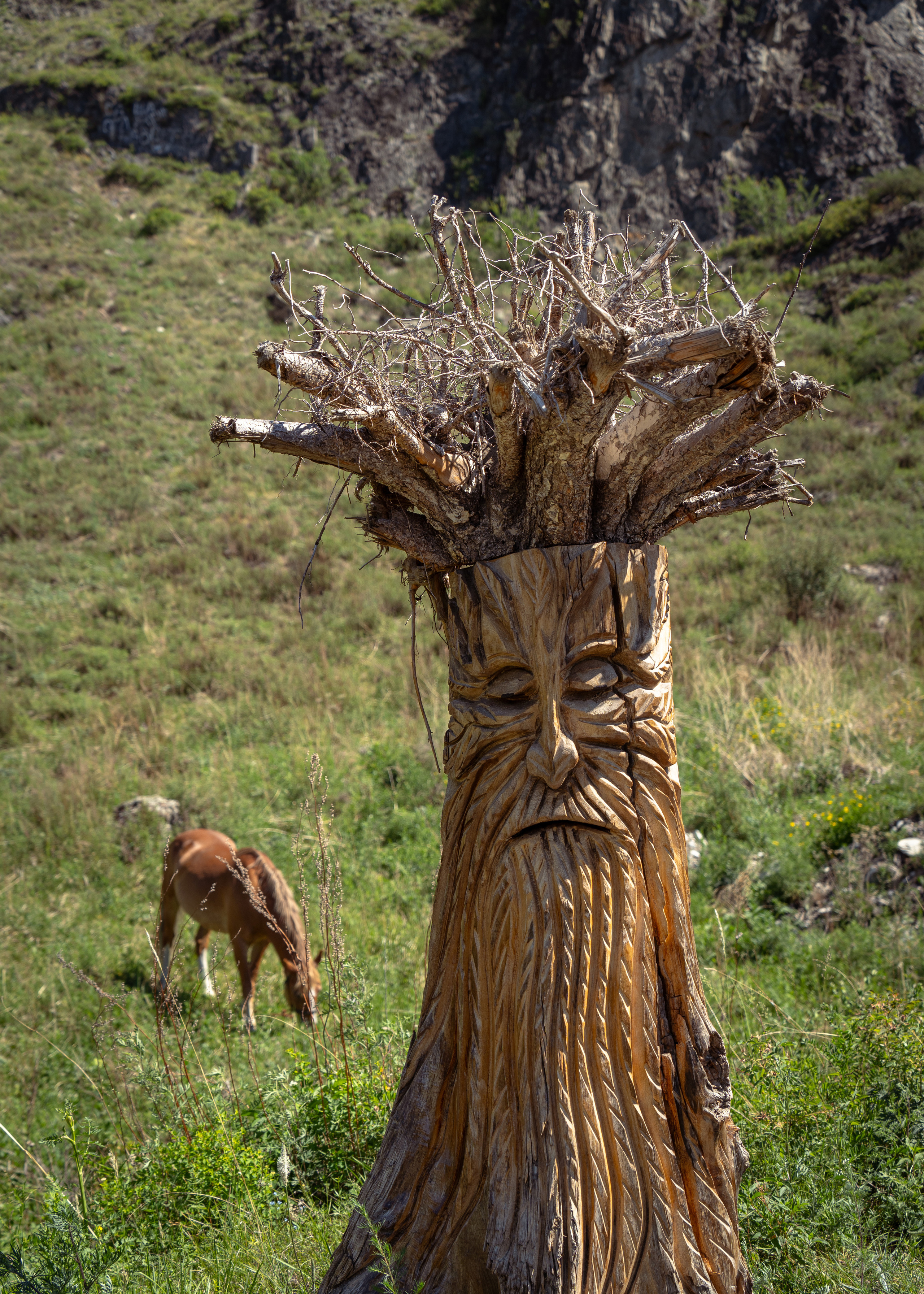 Алтай. Amateur photographer Nikolai Abushinov