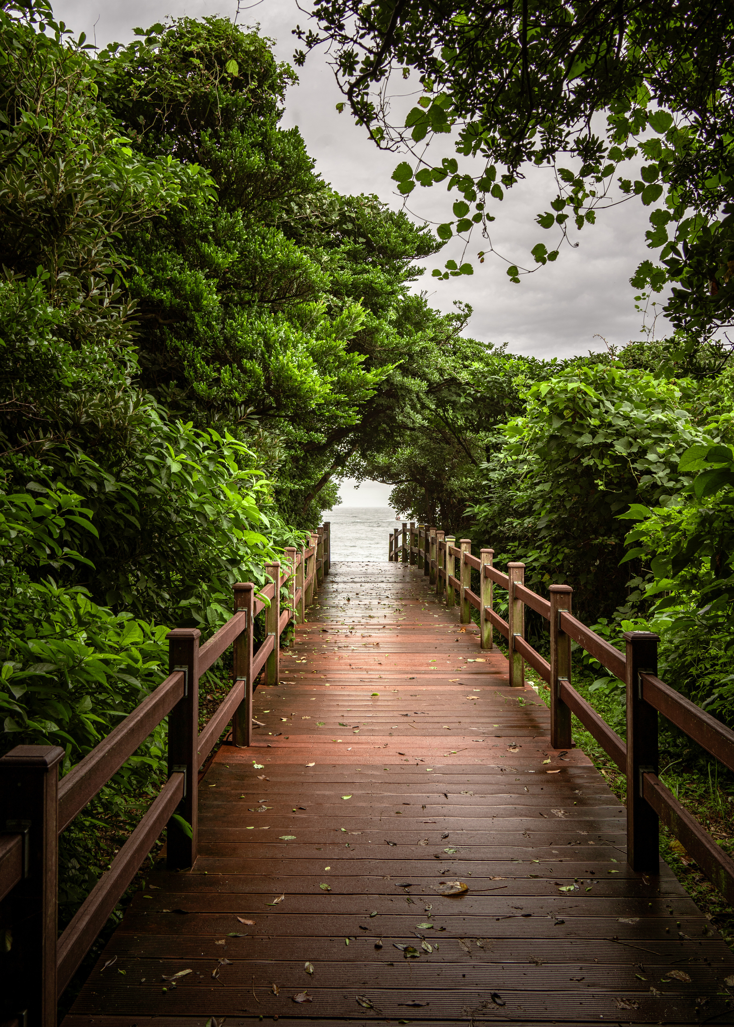 Южная Корея. Amateur photographer Nikolai Abushinov