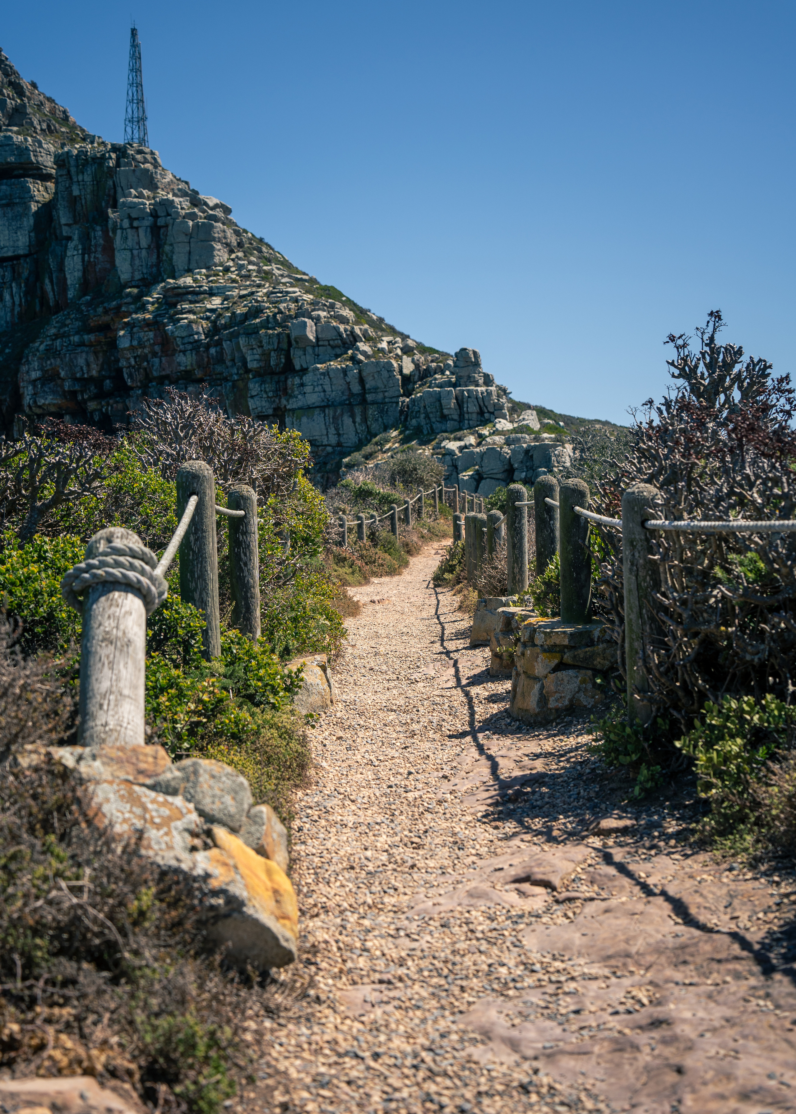 ЮАР. Amateur photographer Nikolai Abushinov