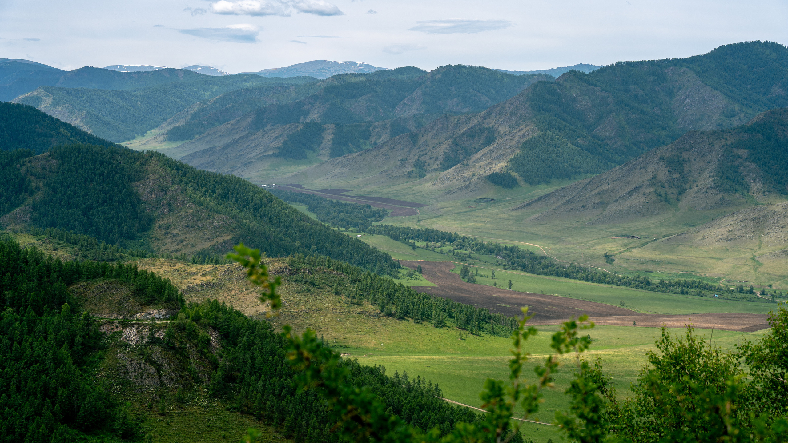 Алтай. Amateur photographer Nikolai Abushinov