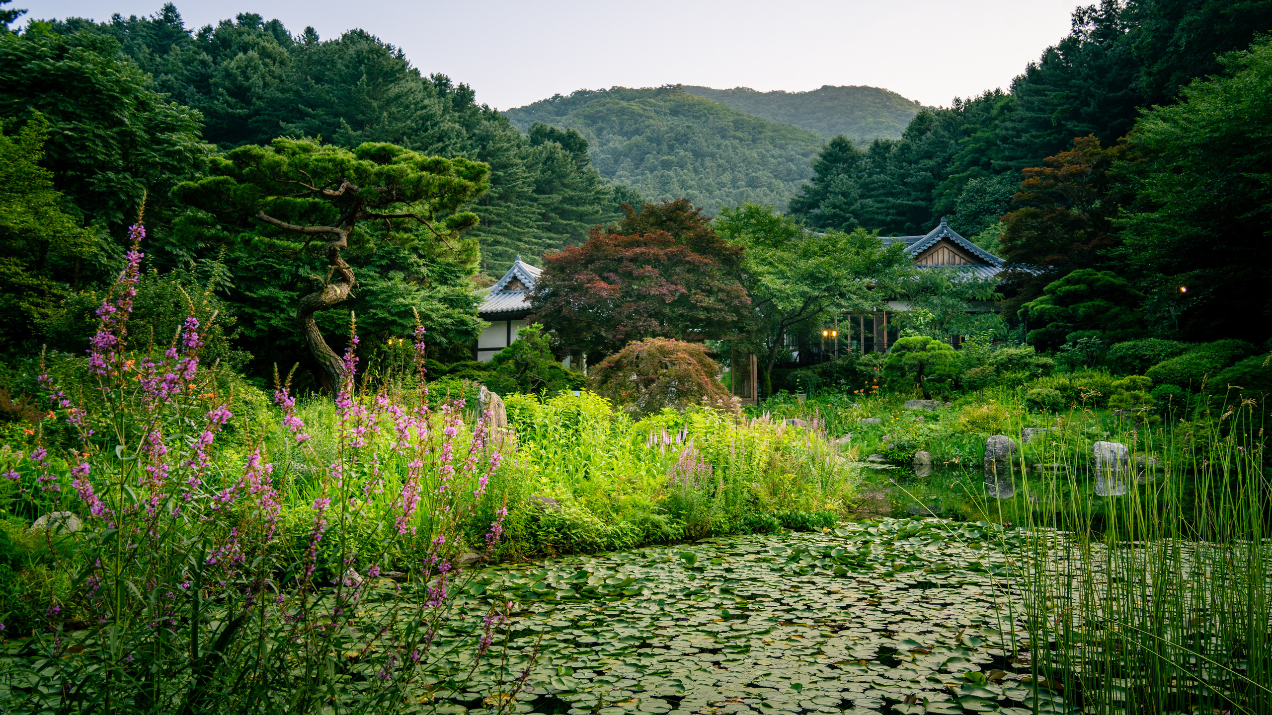 Южная Корея. Amateur photographer Nikolai Abushinov