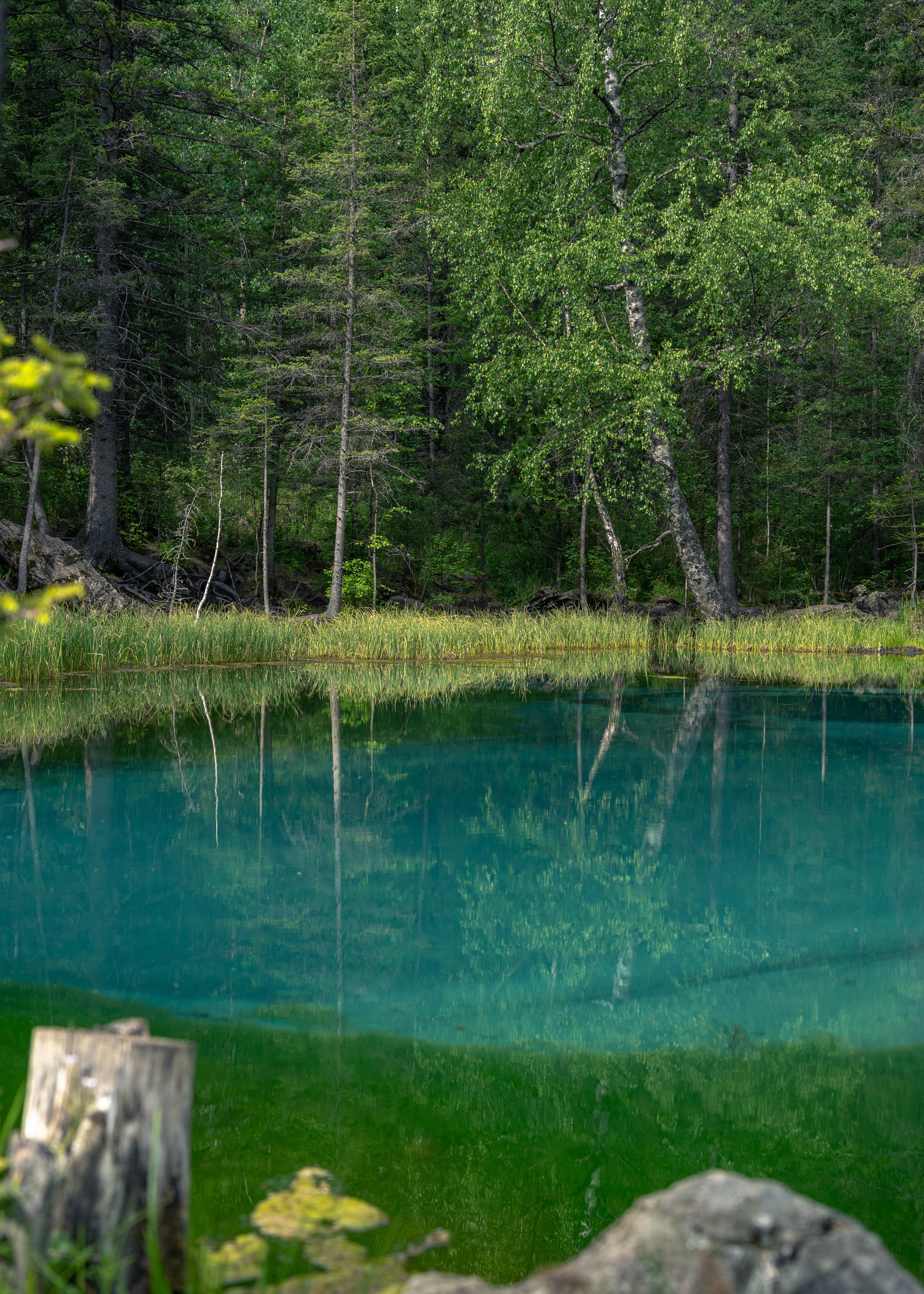 Алтай. Amateur photographer Nikolai Abushinov