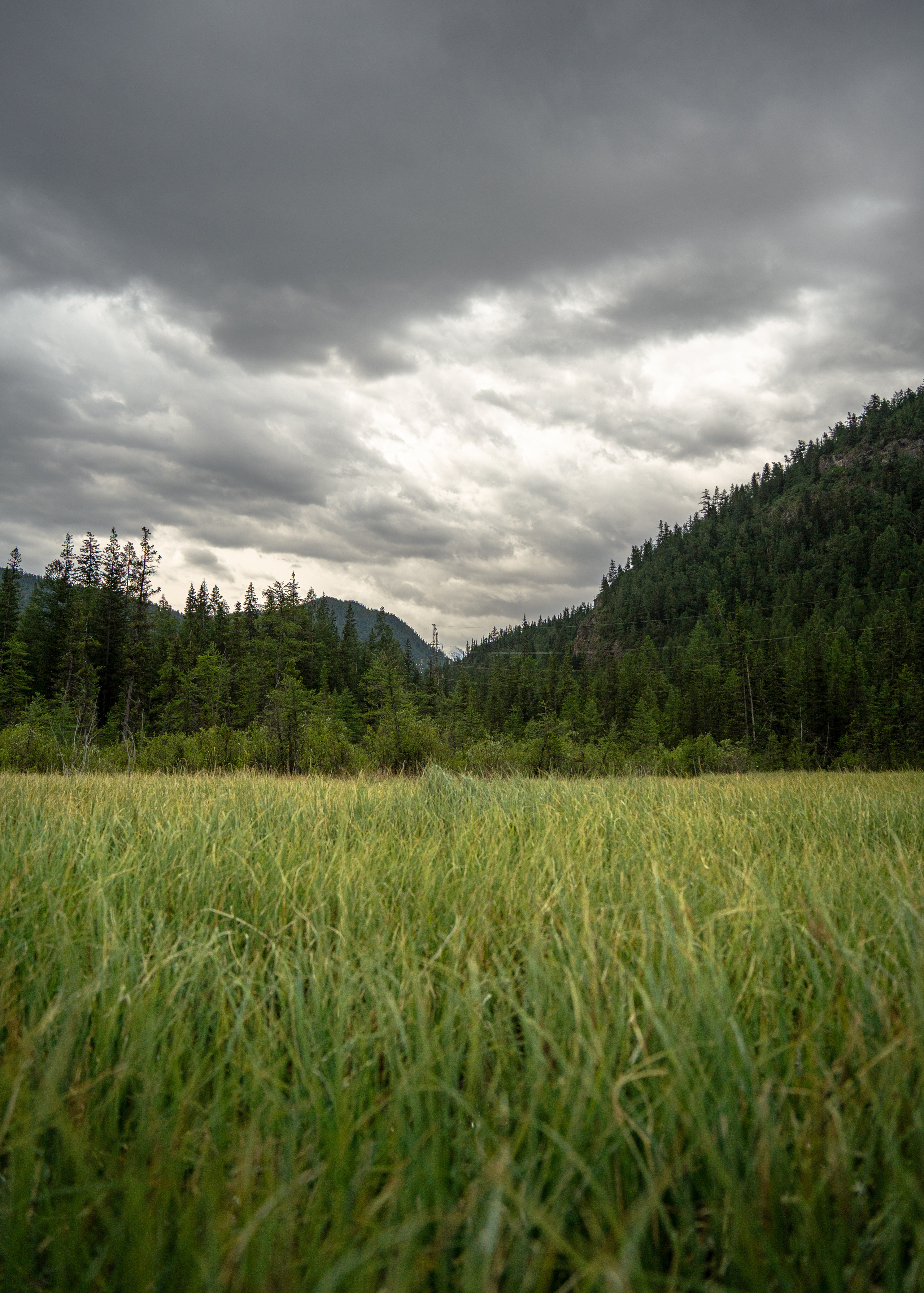 Алтай. Amateur photographer Nikolai Abushinov
