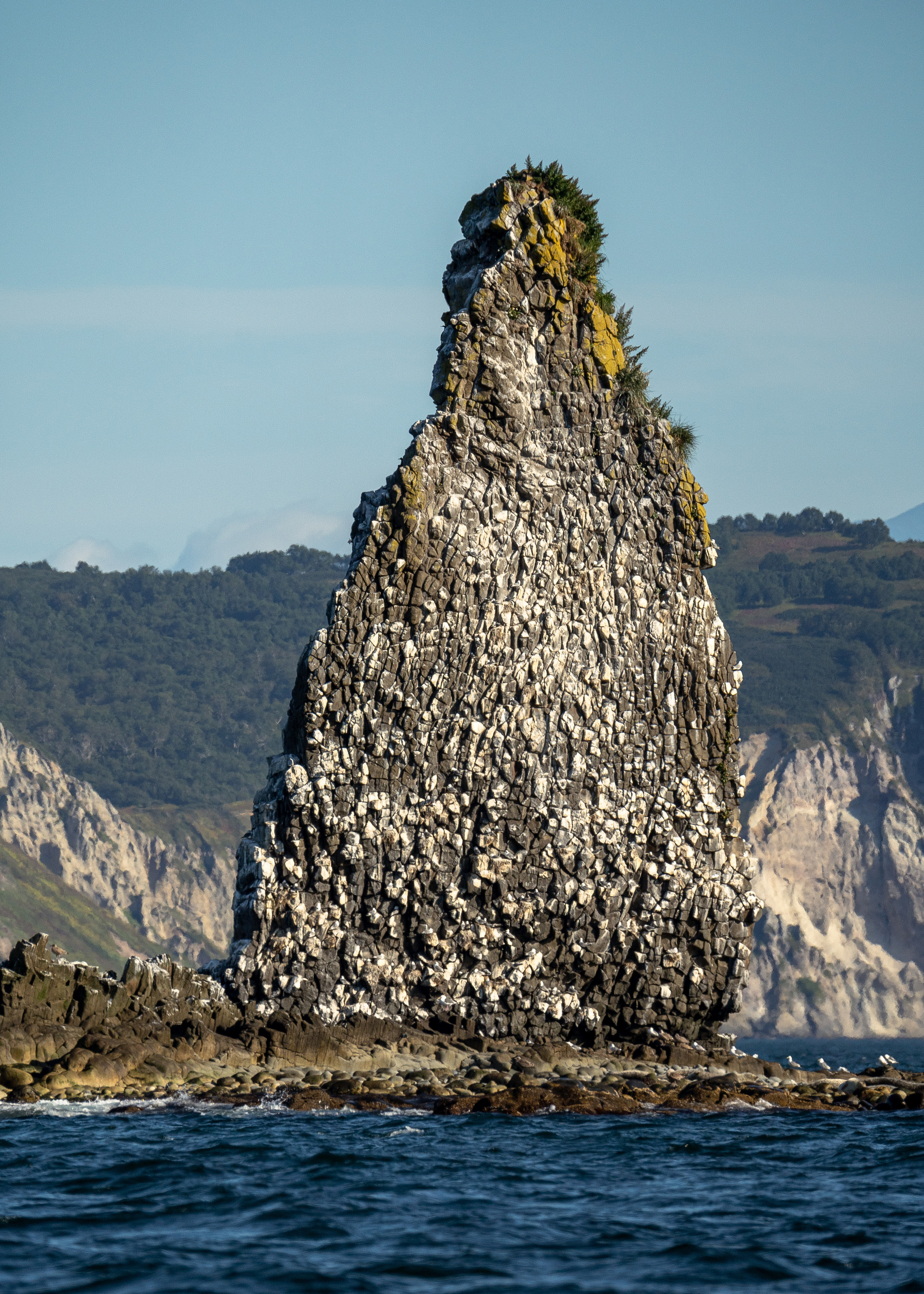 Камчатка. Amateur photographer Nikolai Abushinov