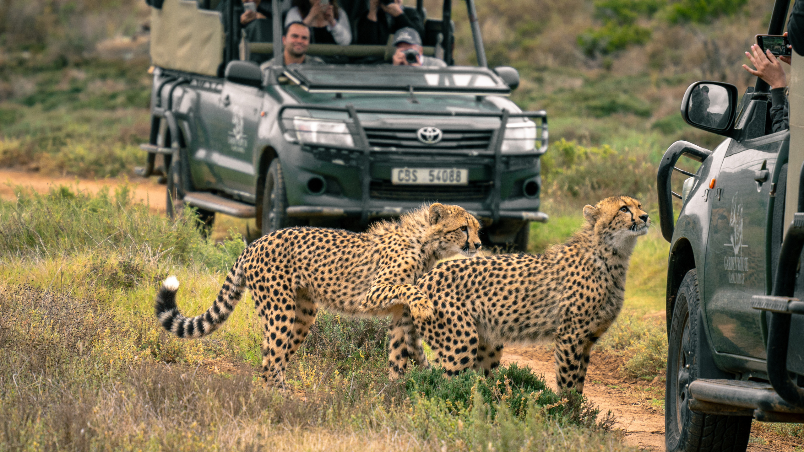 ЮАР. Amateur photographer Nikolai Abushinov