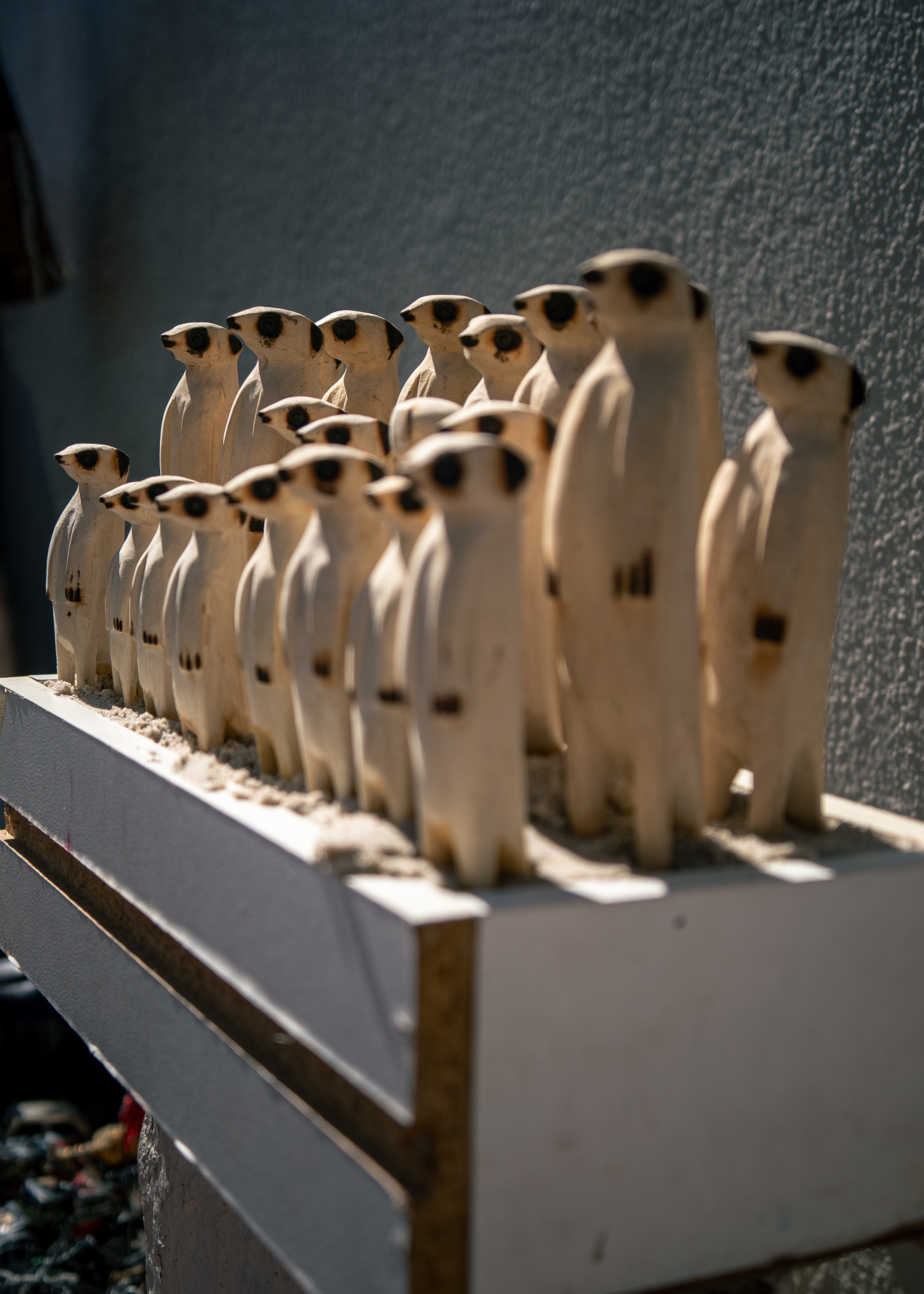 ЮАР. Amateur photographer Nikolai Abushinov