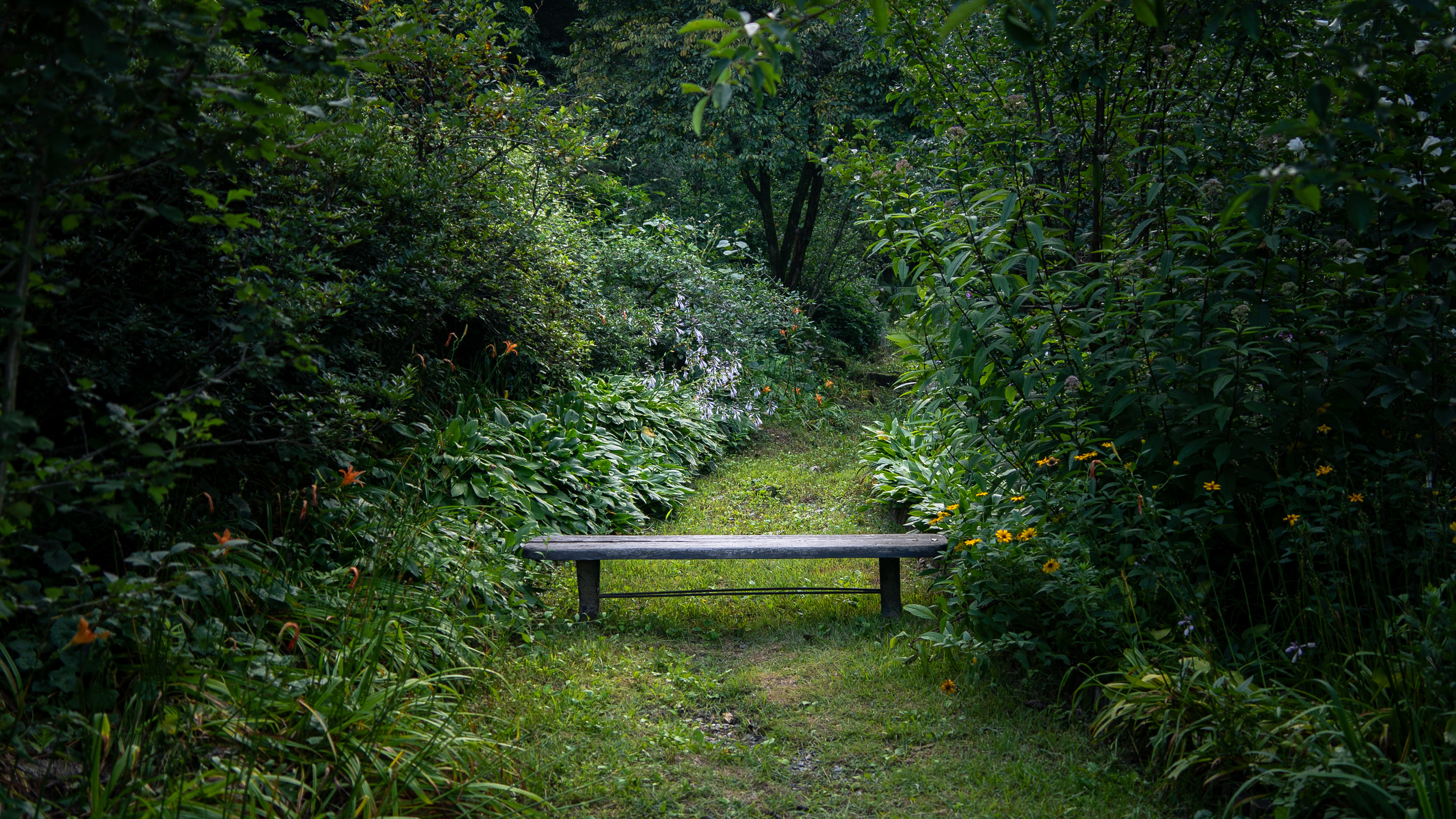 Южная Корея. Amateur photographer Nikolai Abushinov