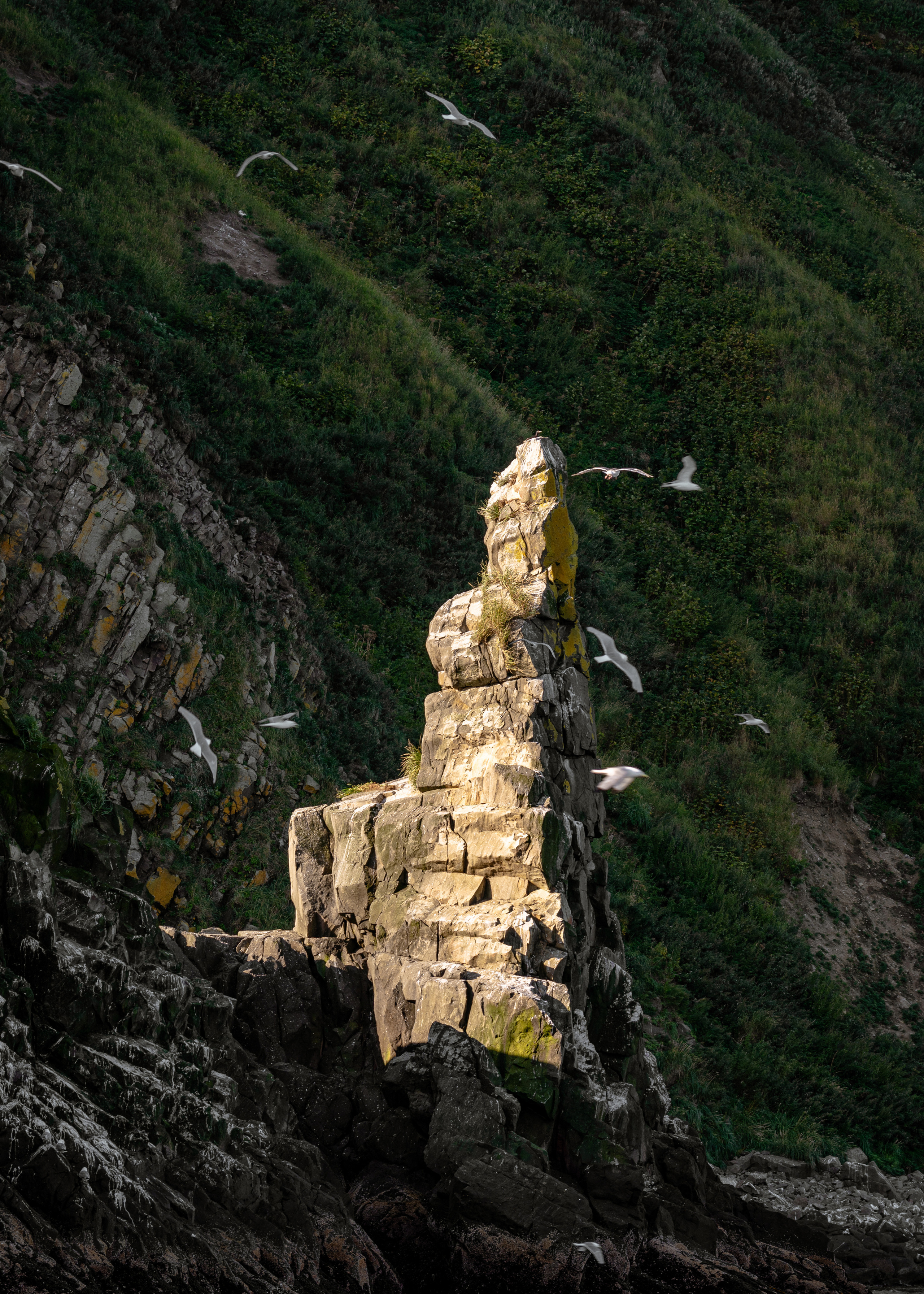 Камчатка. Amateur photographer Nikolai Abushinov